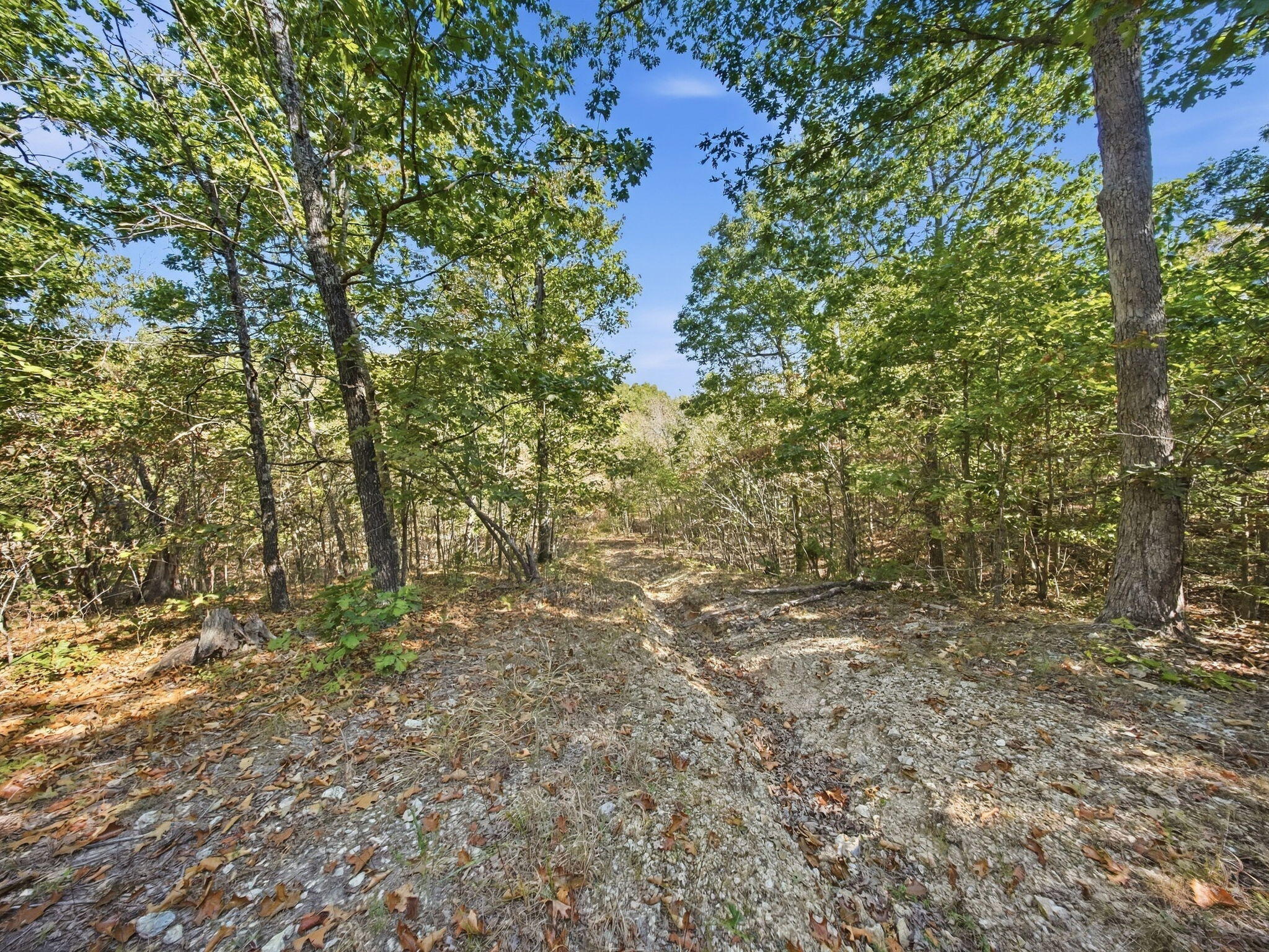 3723 Weaver Road Property Photo 15