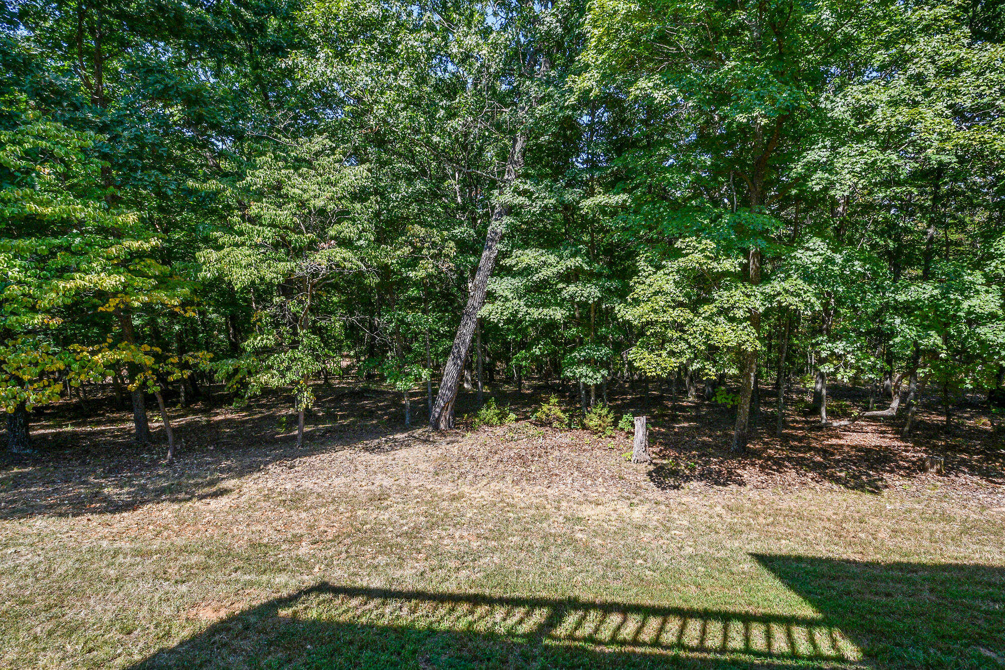 215 Queensberry Road Property Photo 52