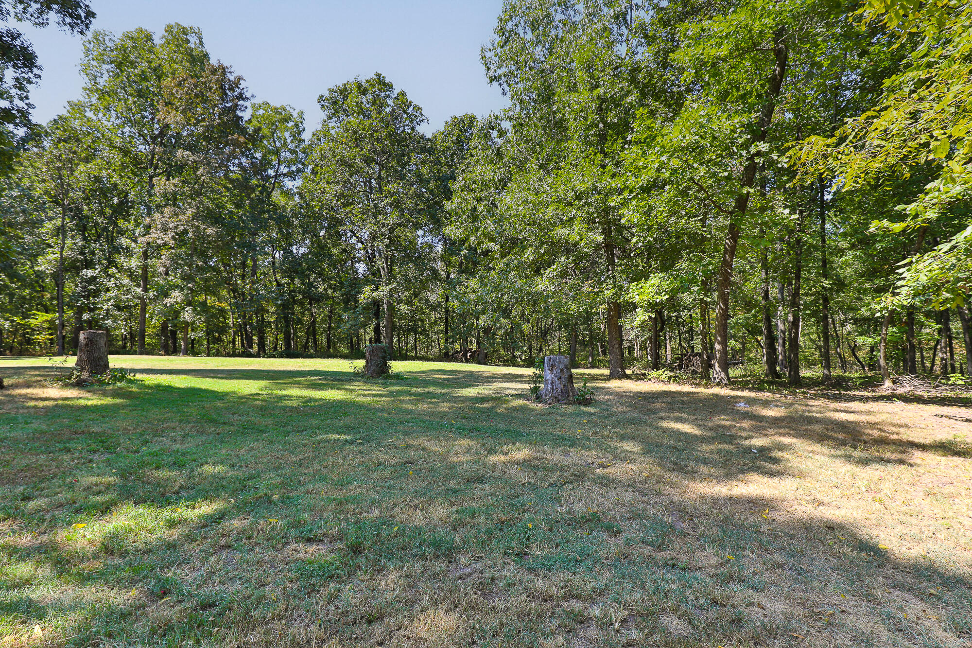2441 State Highway Zz Property Photo 55