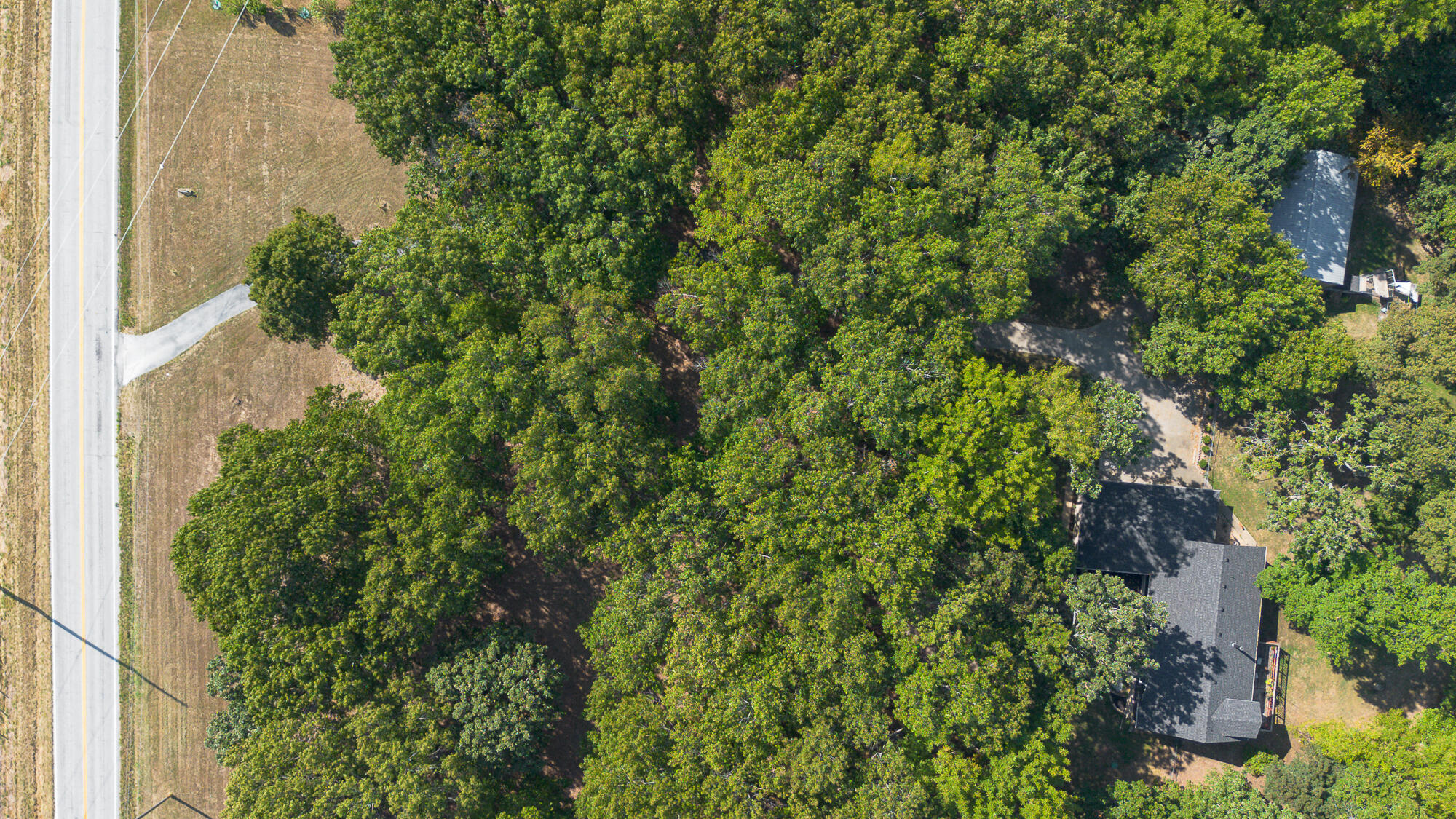 2441 State Highway Zz Property Photo 68