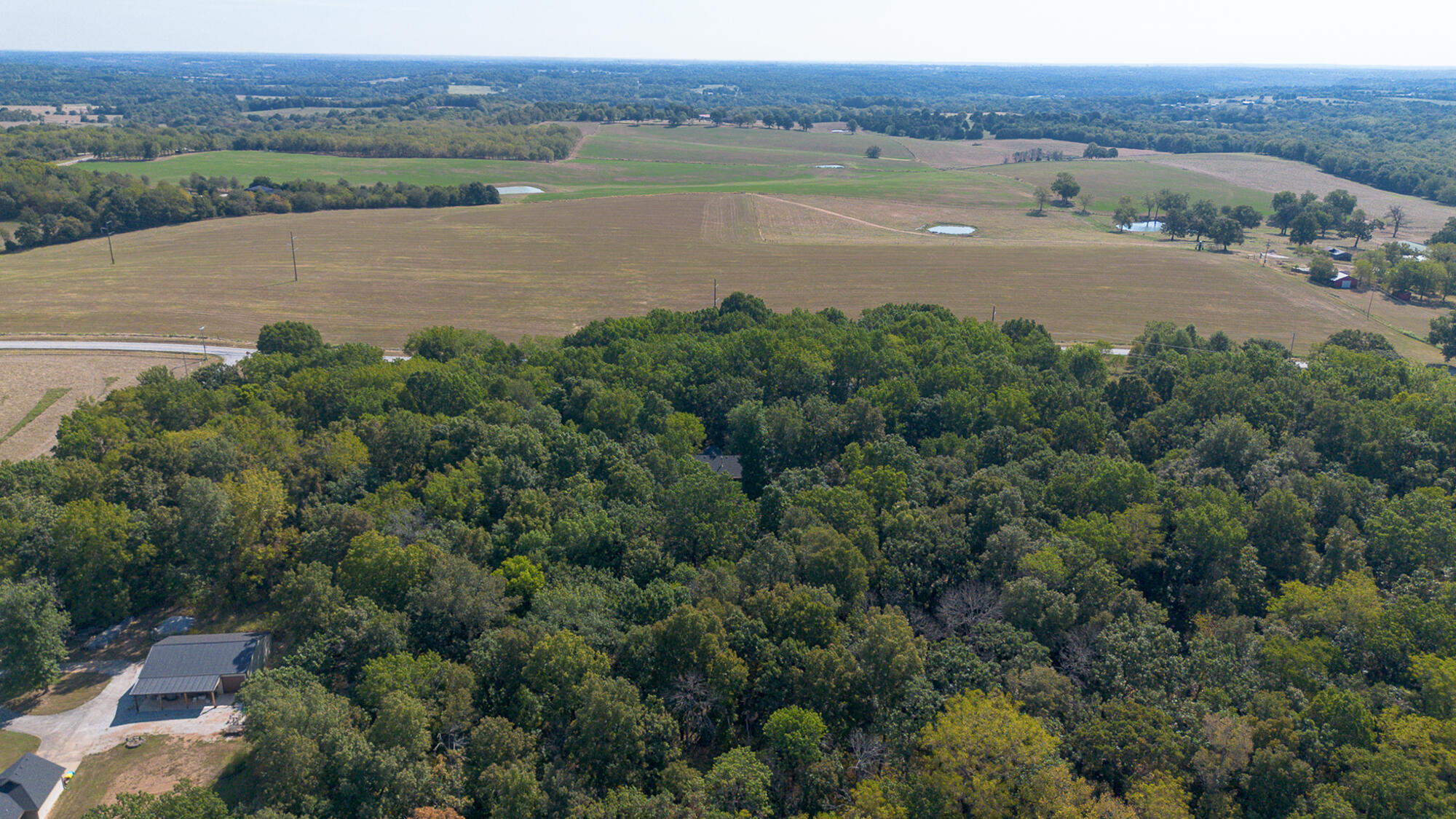 2441 State Highway Zz Property Photo 77