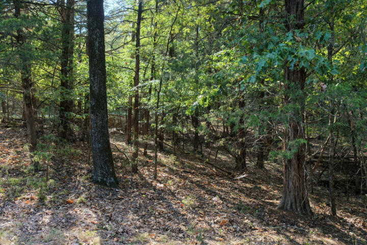 000 Lazy Acres Road Property Photo 2