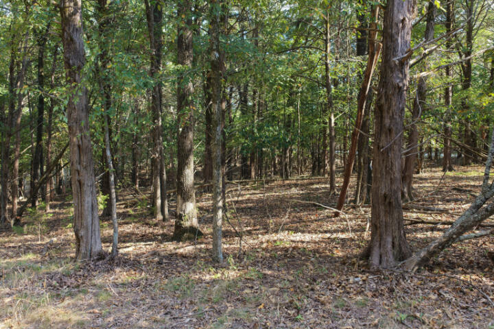 000 Lazy Acres Road Property Photo 3
