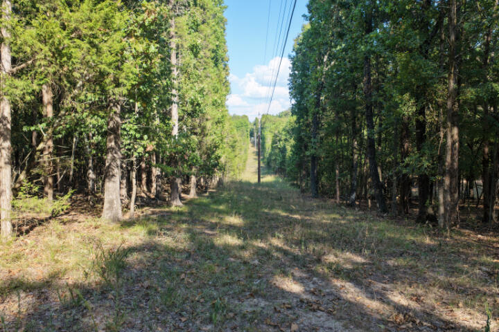000 Lazy Acres Road Property Photo 4