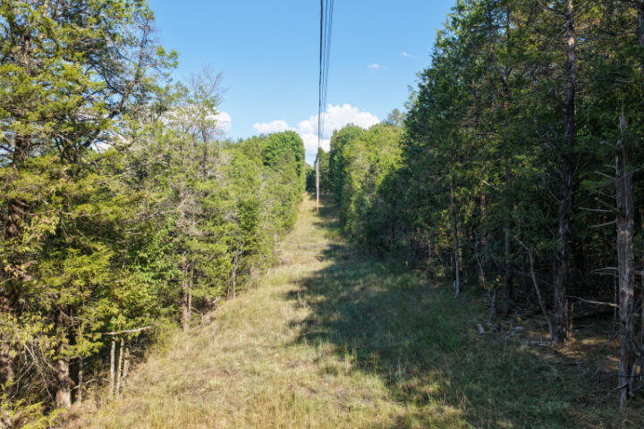 000 Lazy Acres Road Property Photo 5