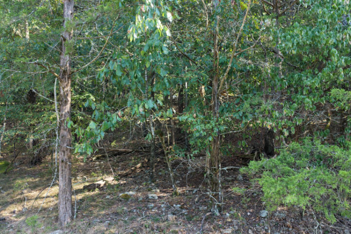 000 Lazy Acres Road Property Photo 6