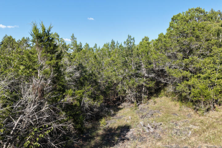 000 Lazy Acres Road Property Photo 8