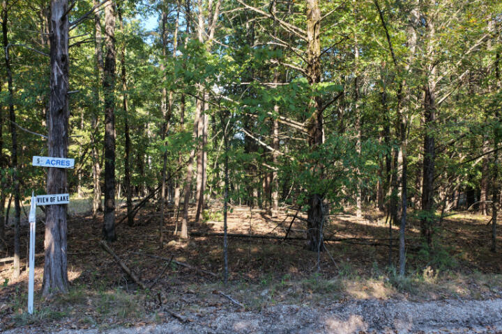 000 Lazy Acres Road Property Photo 18