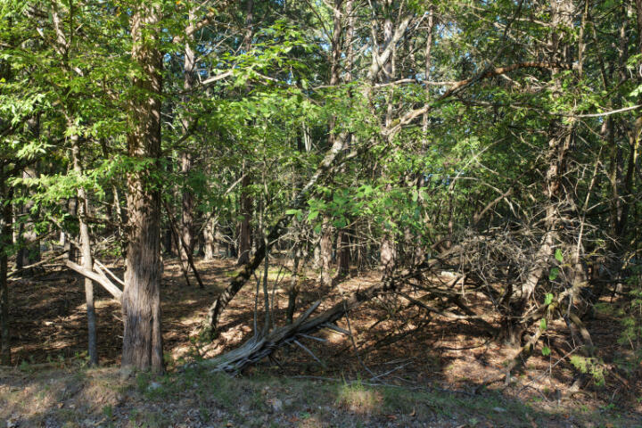 000 Lazy Acres Road Property Photo 19