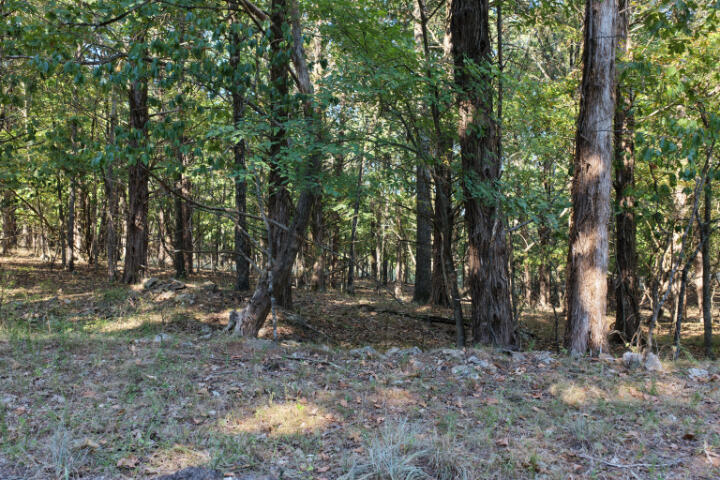 000 Lazy Acres Road Property Photo 20