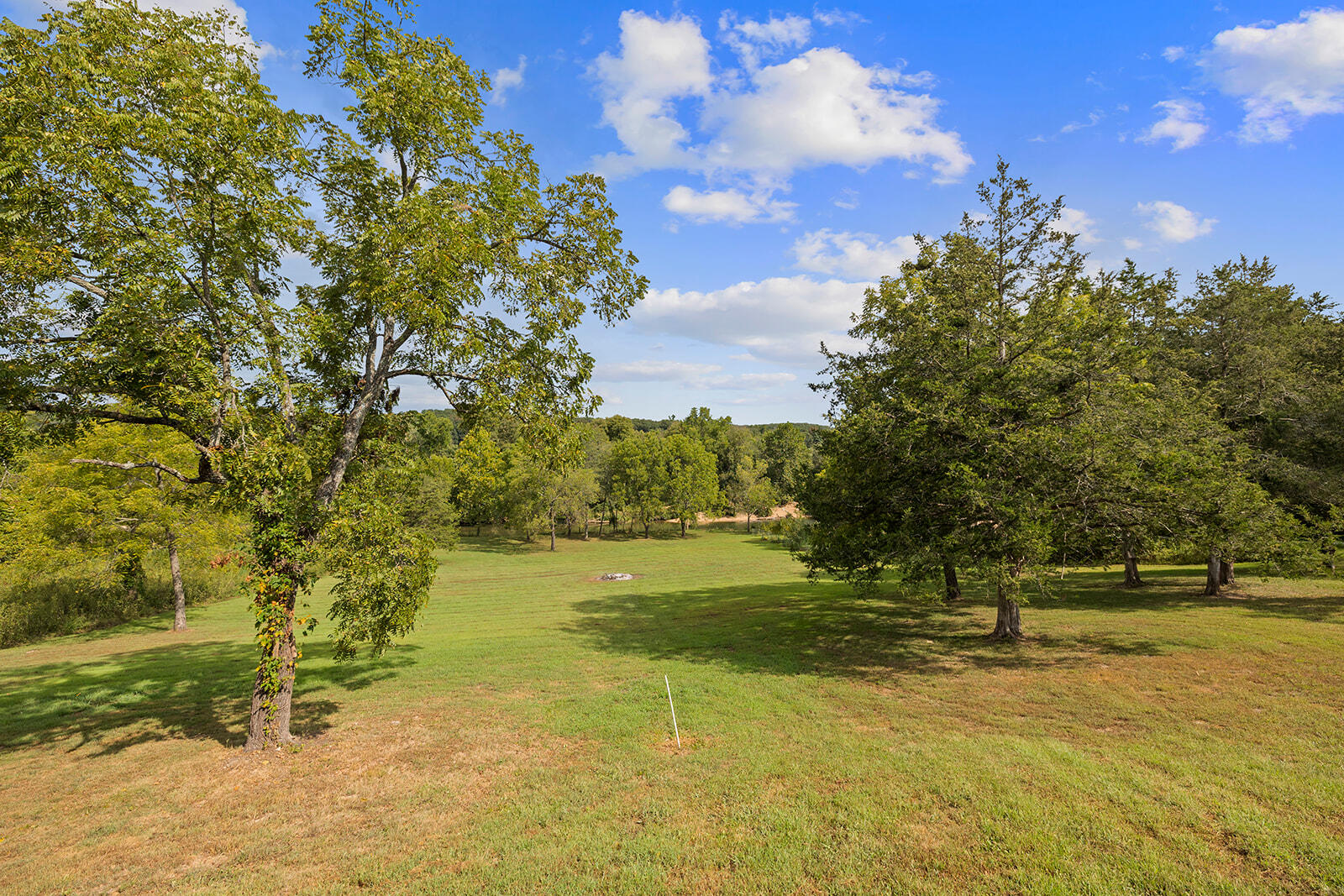 2133 State Highway Kk Property Photo 77