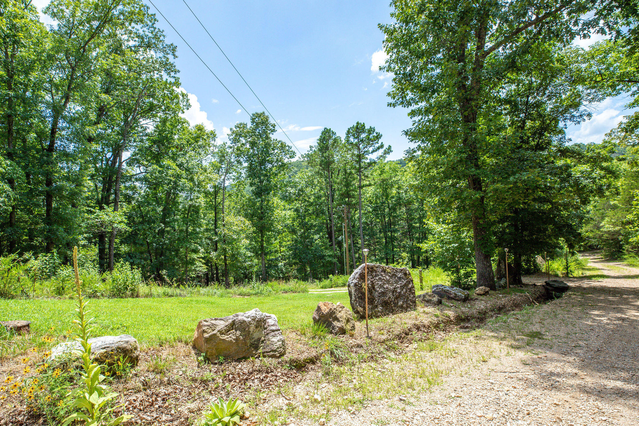 3961 County Road 102 Property Photo 37