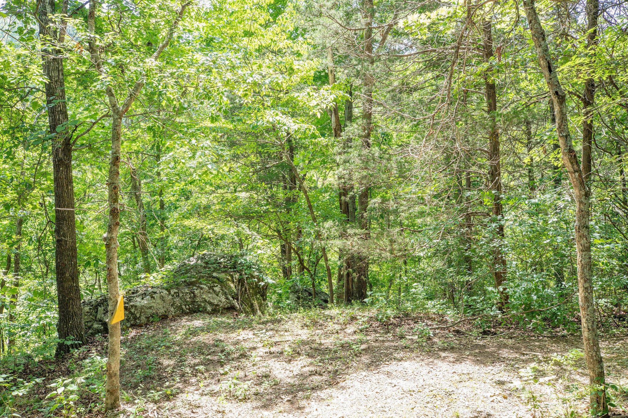 3961 County Road 102 Property Photo 49