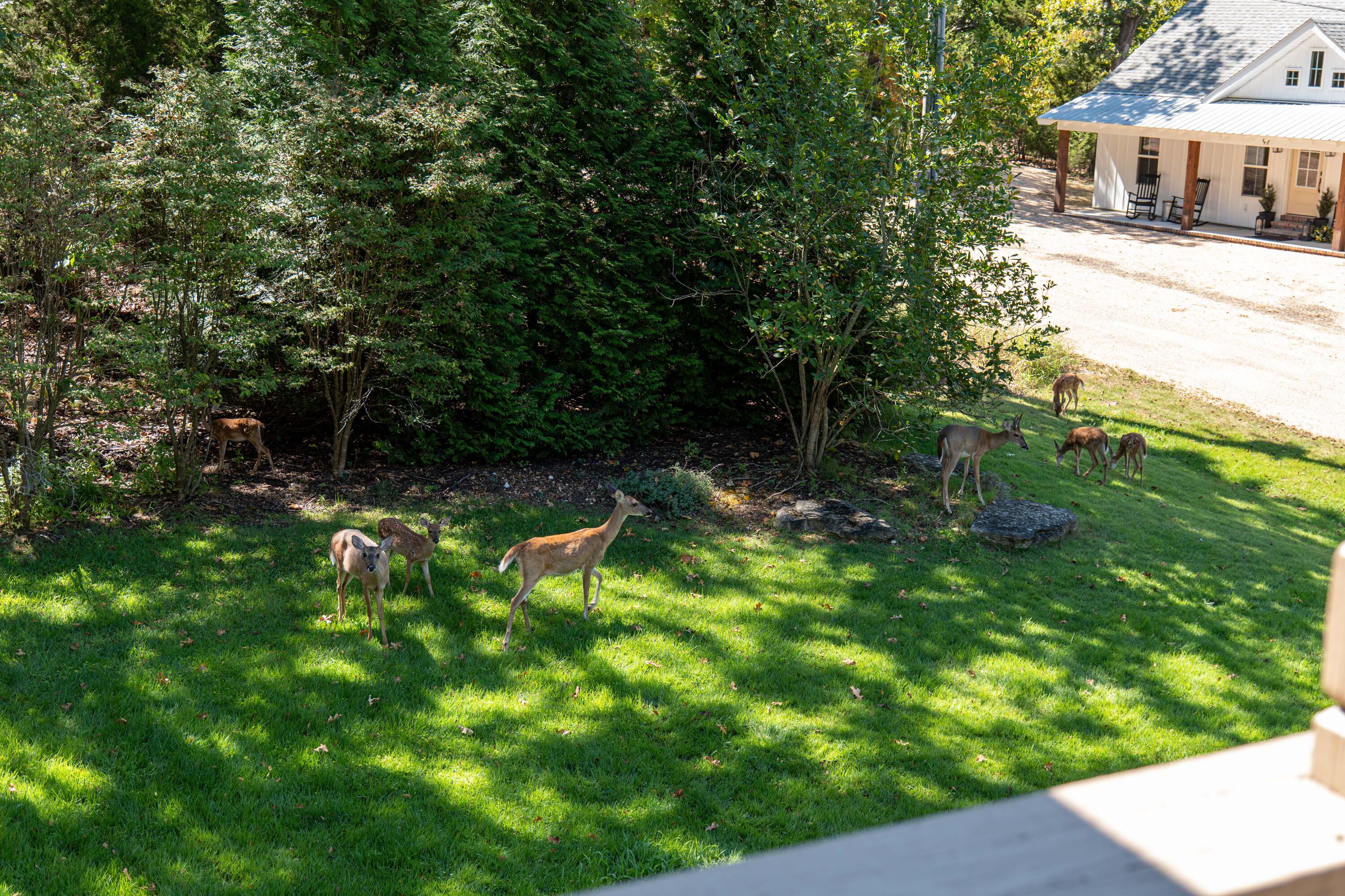 60 Montego Drive Property Photo 2