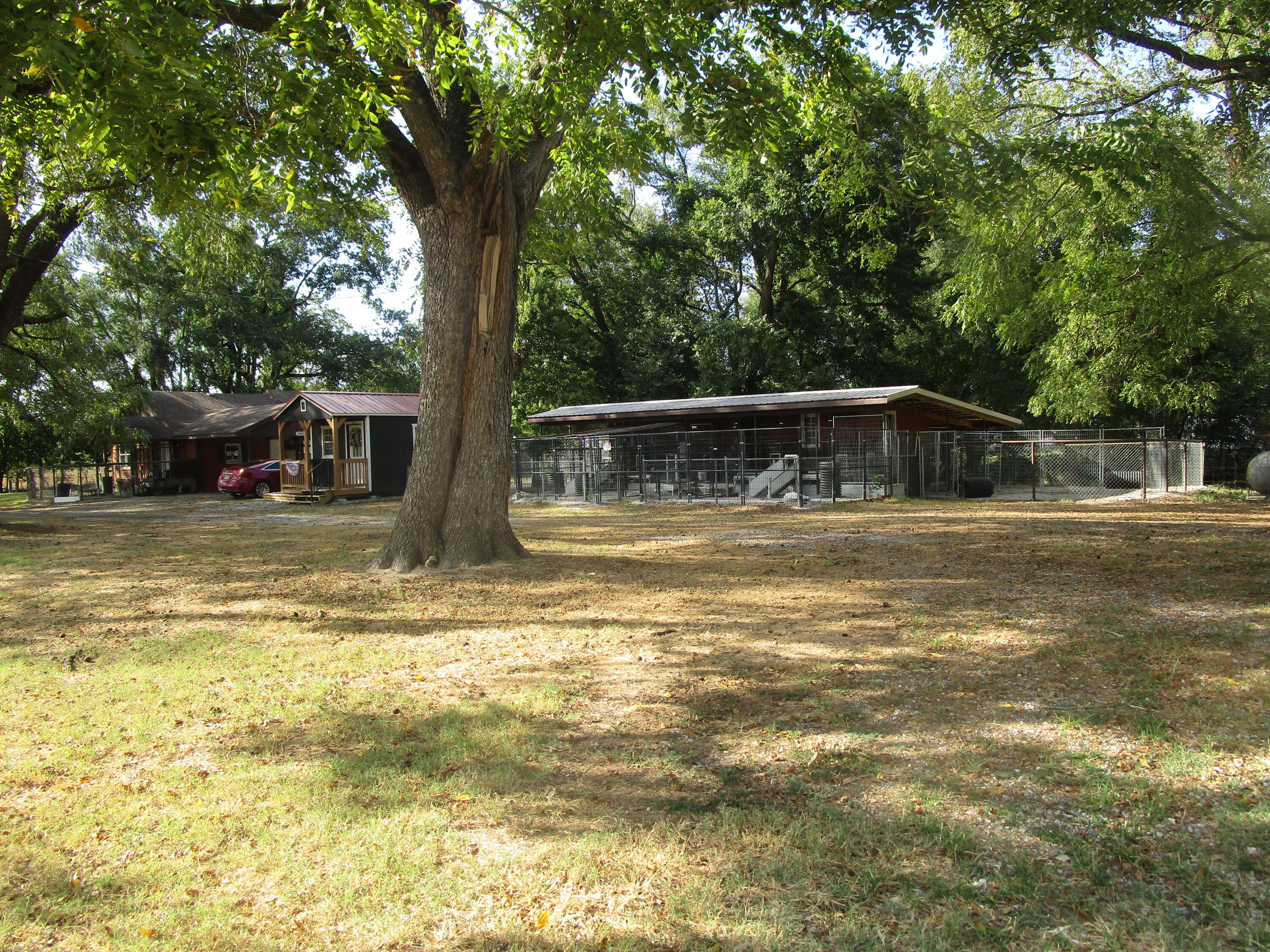 13084 Farm Road 1040 Property Photo 9