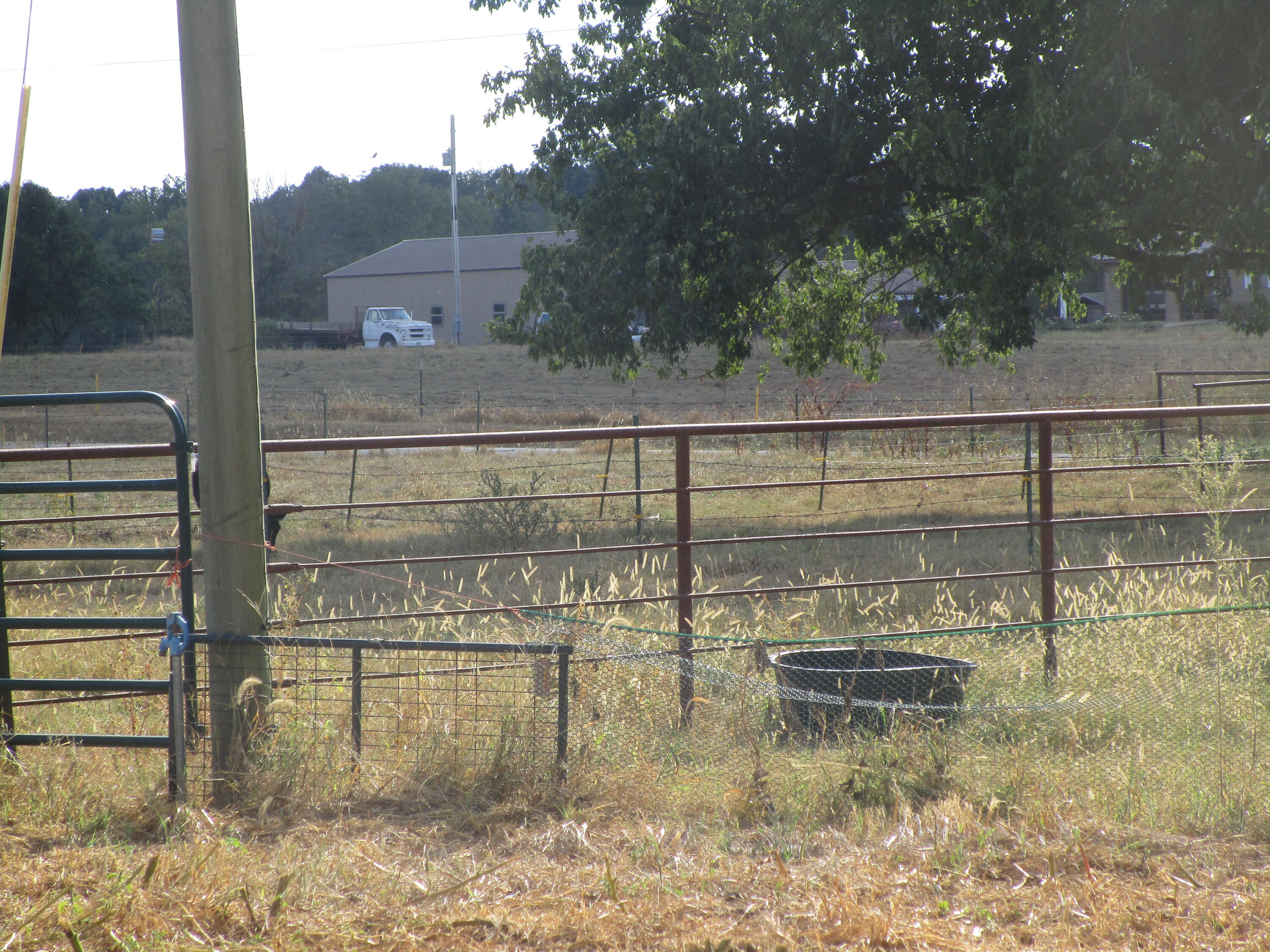 13084 Farm Road 1040 Property Photo 27
