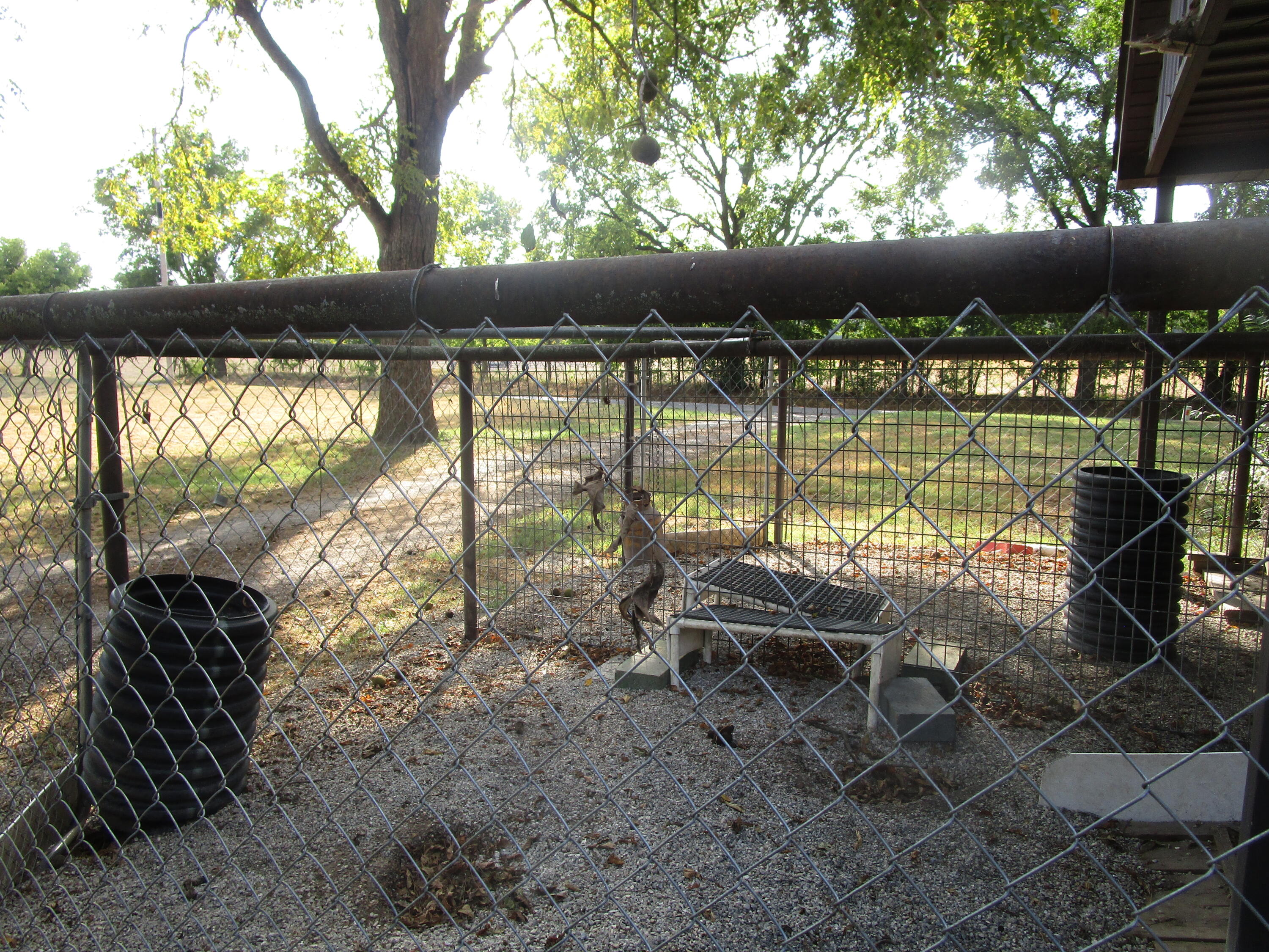 13084 Farm Road 1040 Property Photo 44