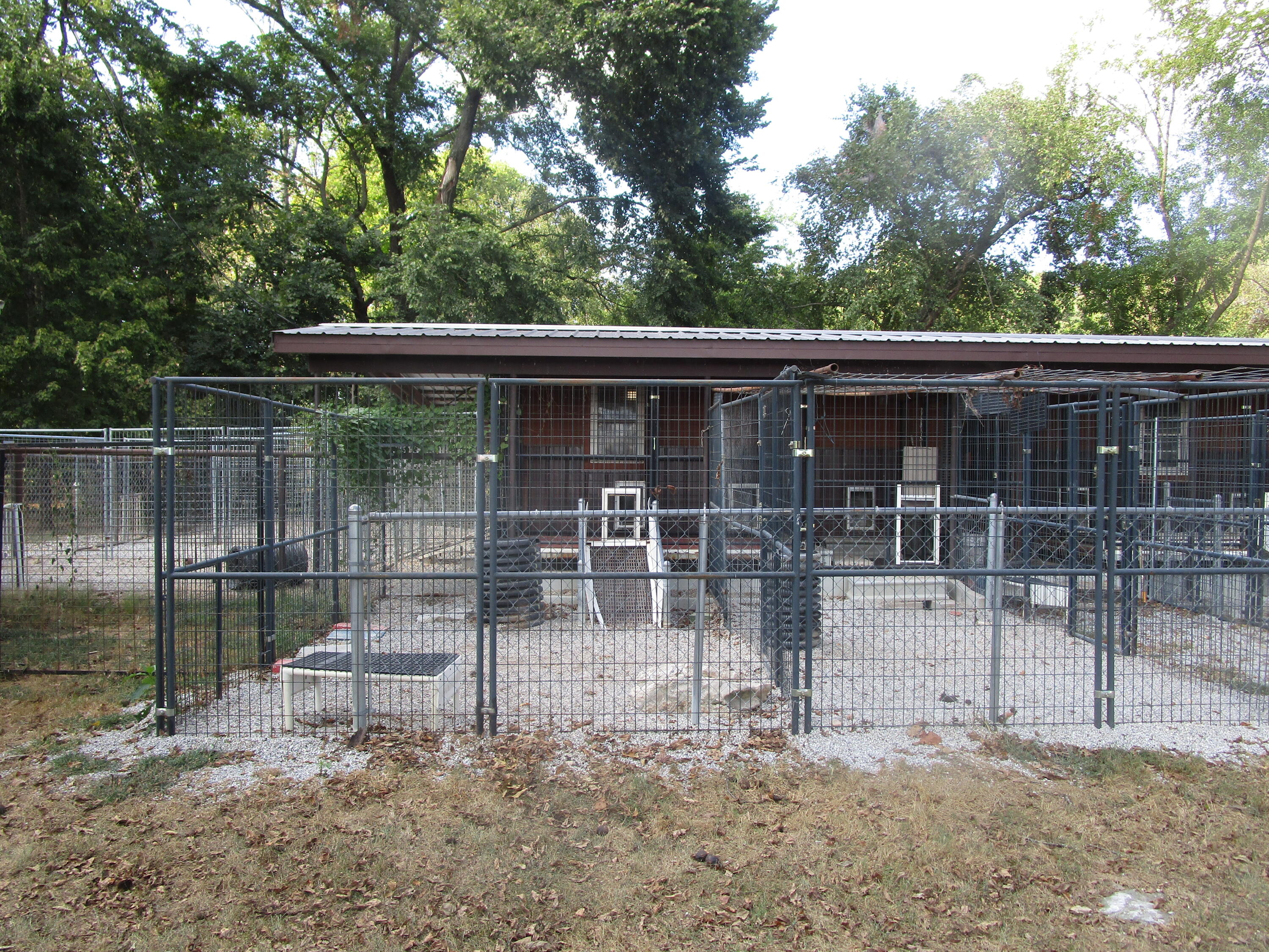 13084 Farm Road 1040 Property Photo 45
