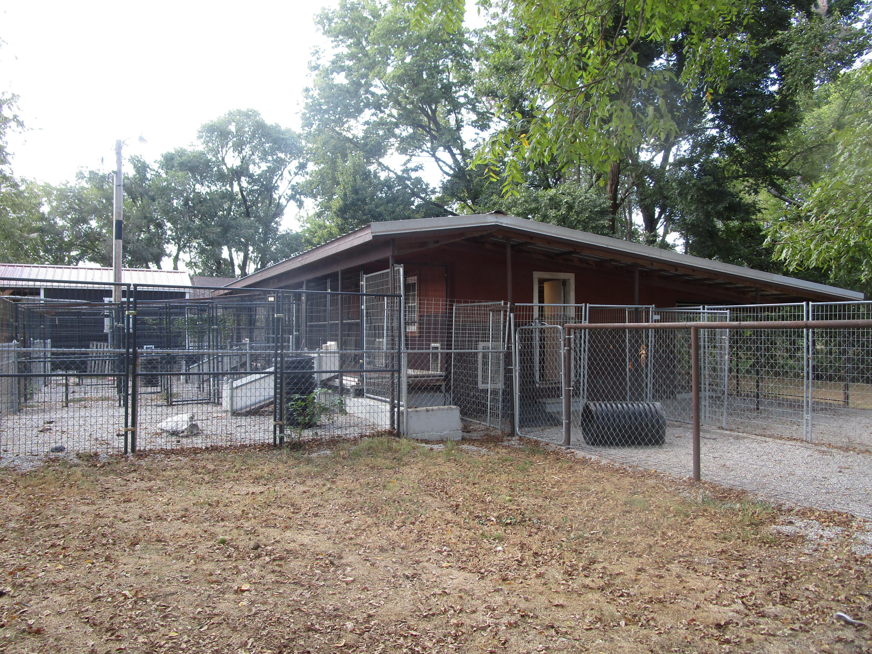 13084 Farm Road 1040 Property Photo 46