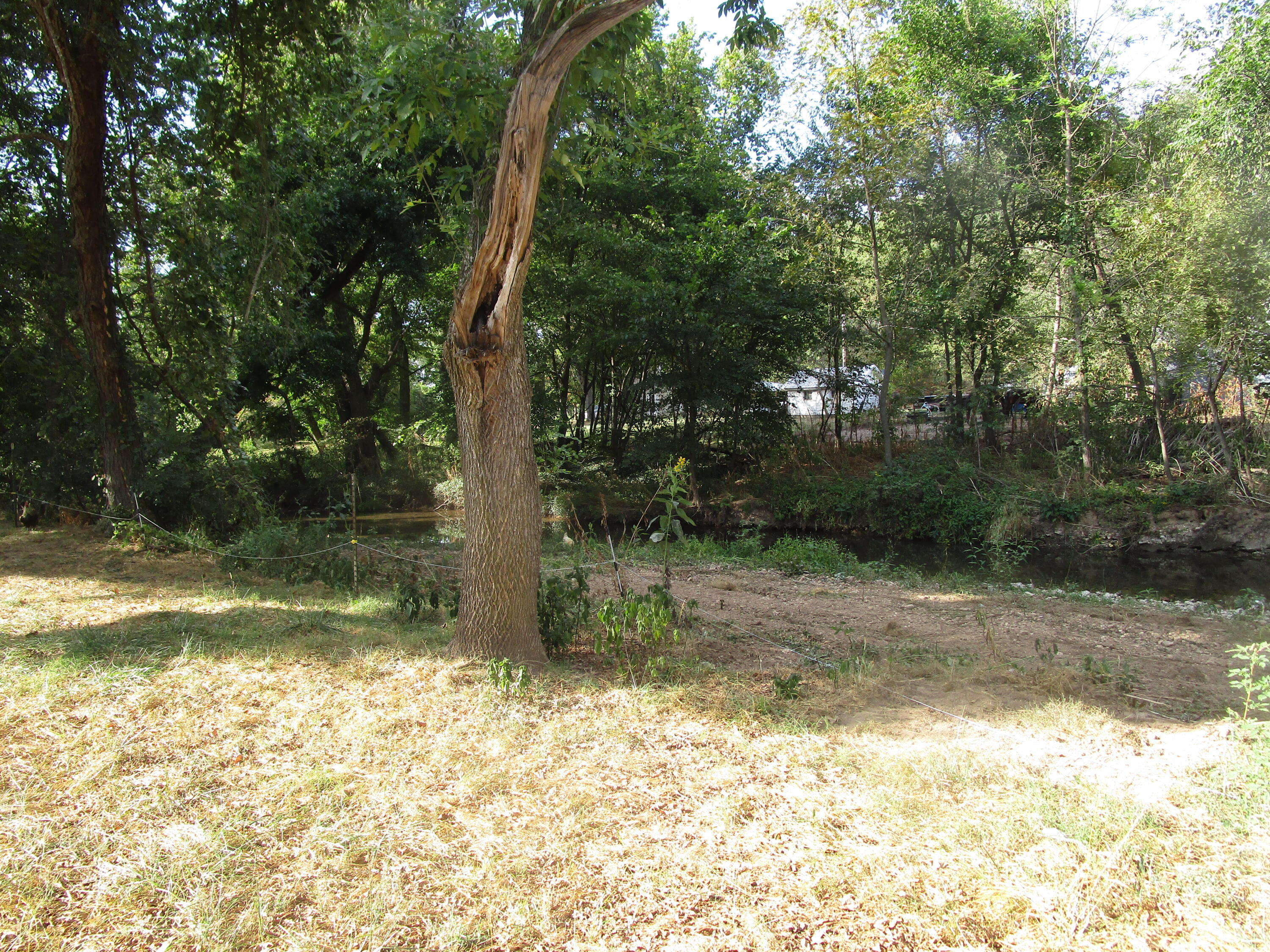 13084 Farm Road 1040 Property Photo 55
