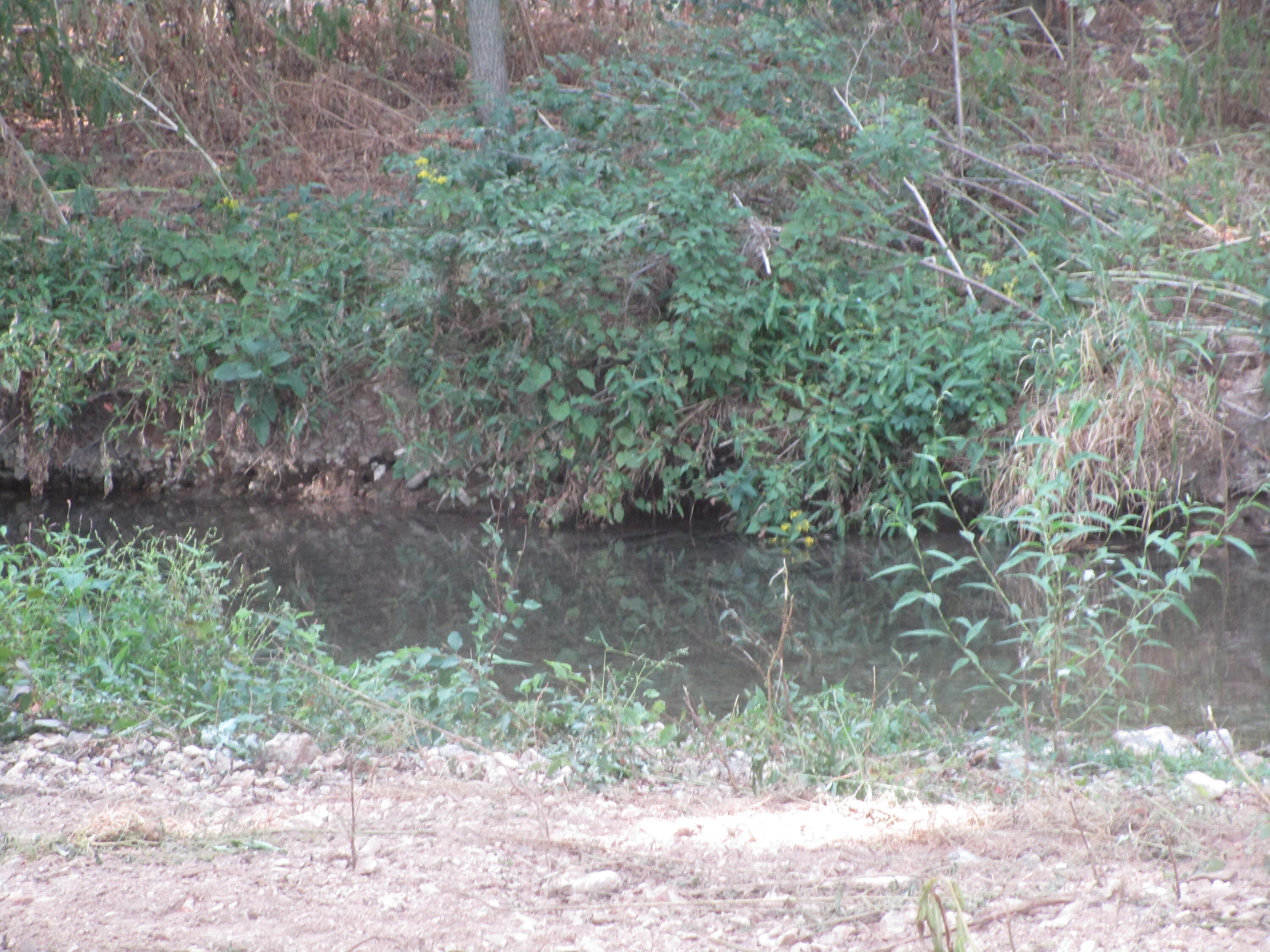 13084 Farm Road 1040 Property Photo 57
