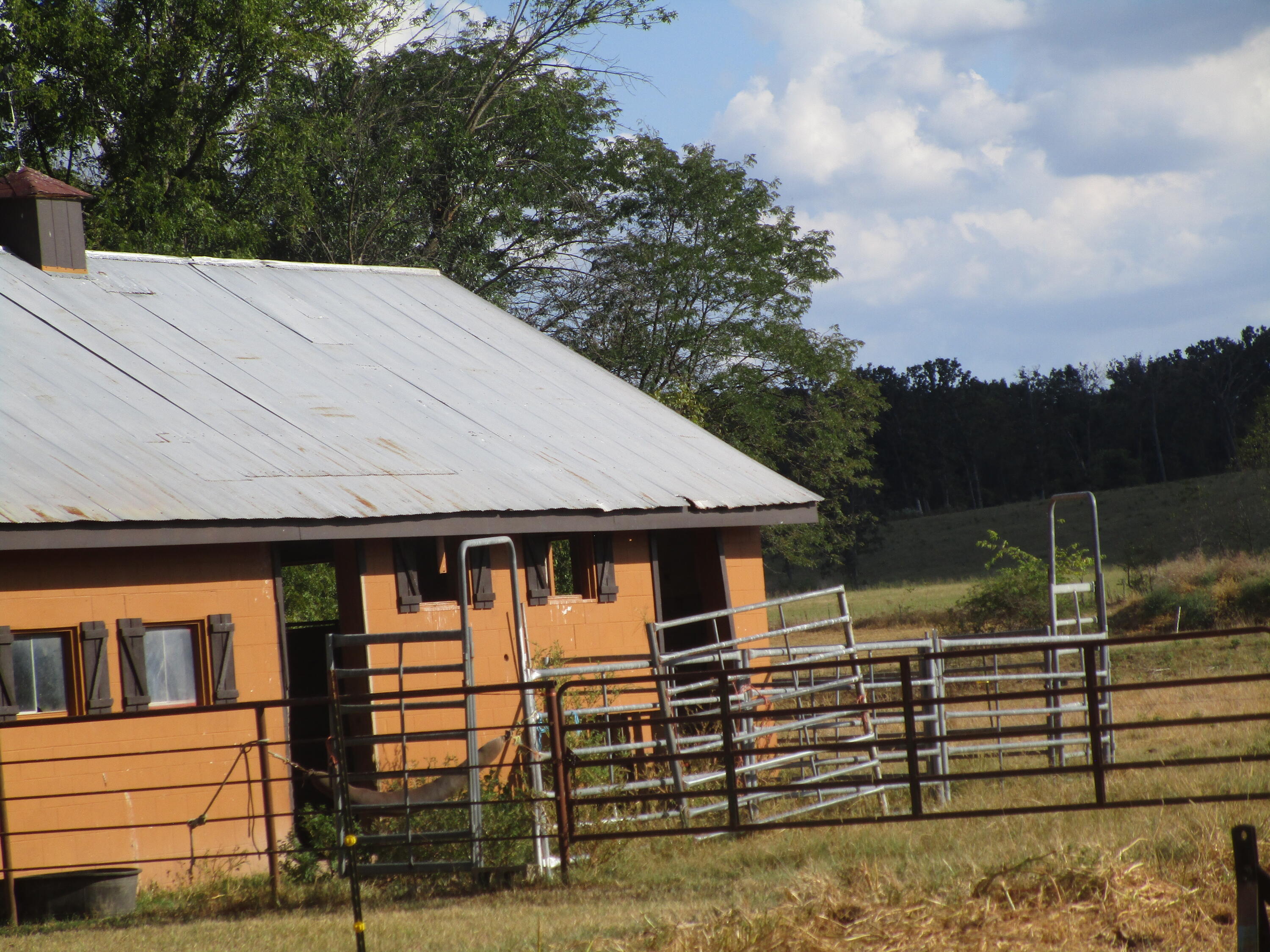 13084 Farm Road 1040 Property Photo 58