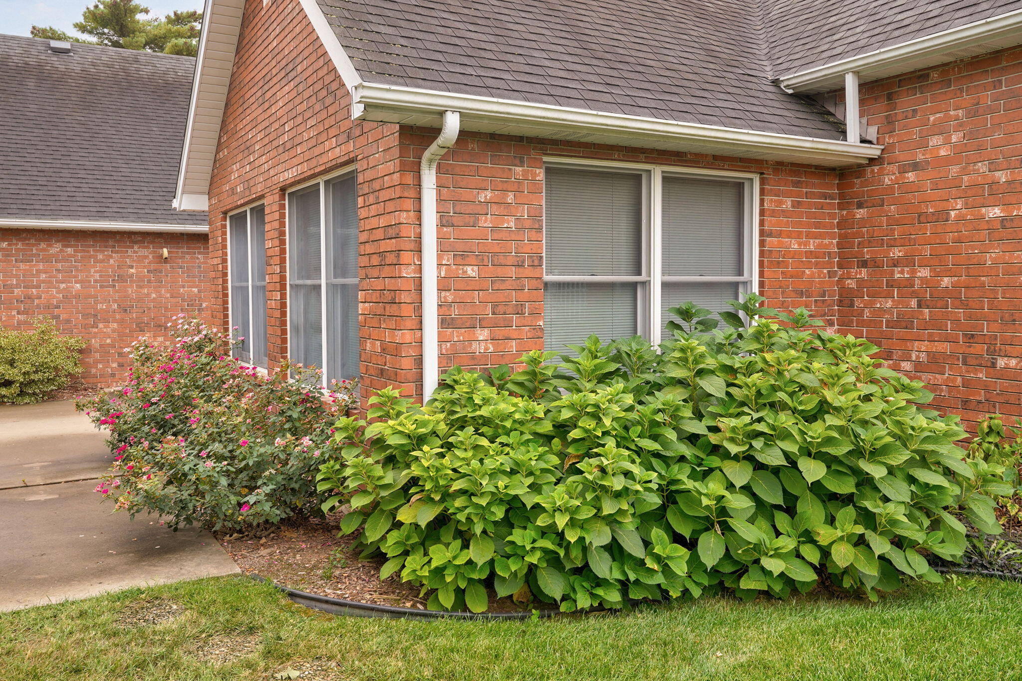 1401 Dierker Drive Property Photo 44