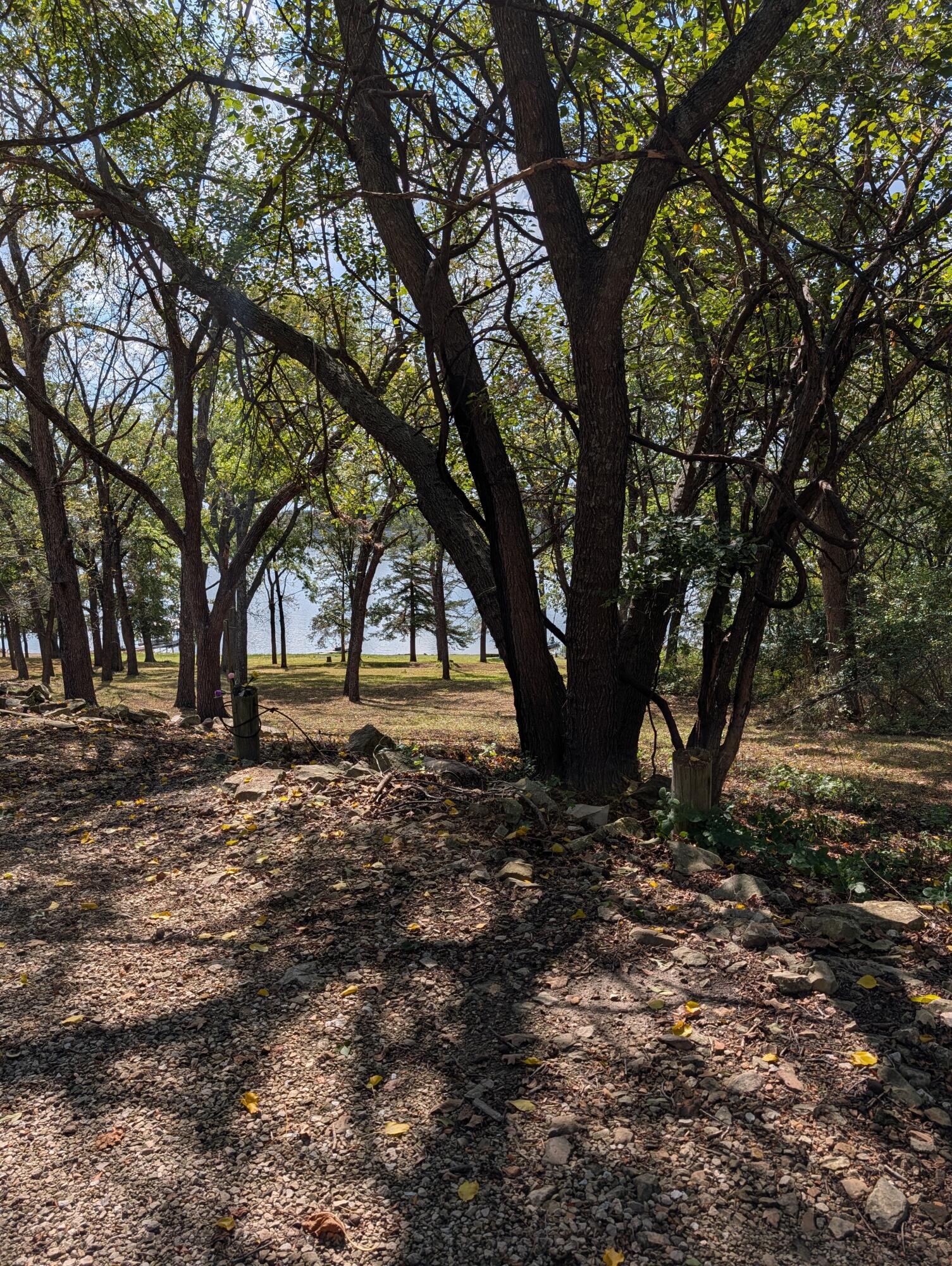 26318 Fisher Cove Lane Property Photo 21