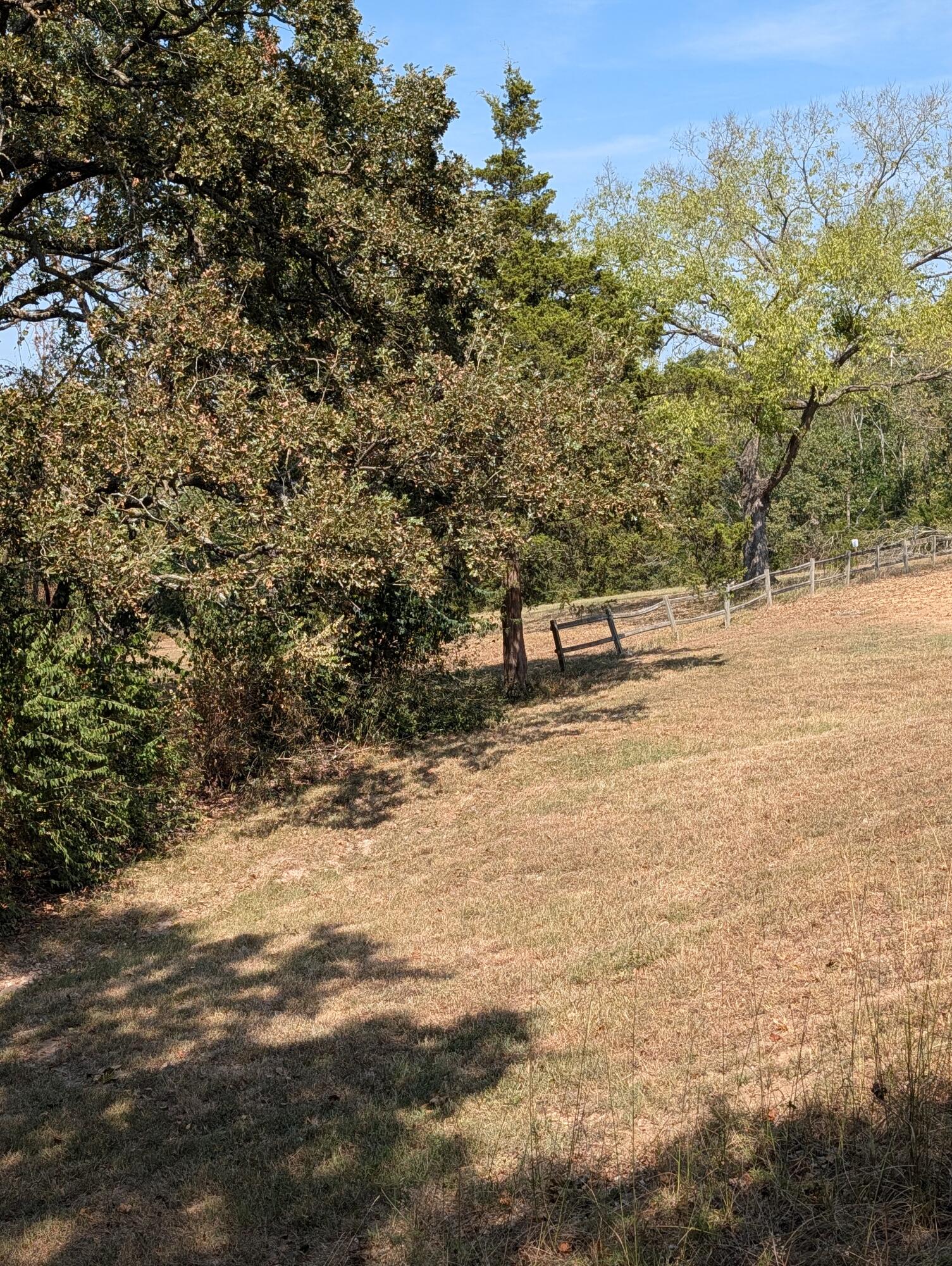 26318 Fisher Cove Lane Property Photo 22