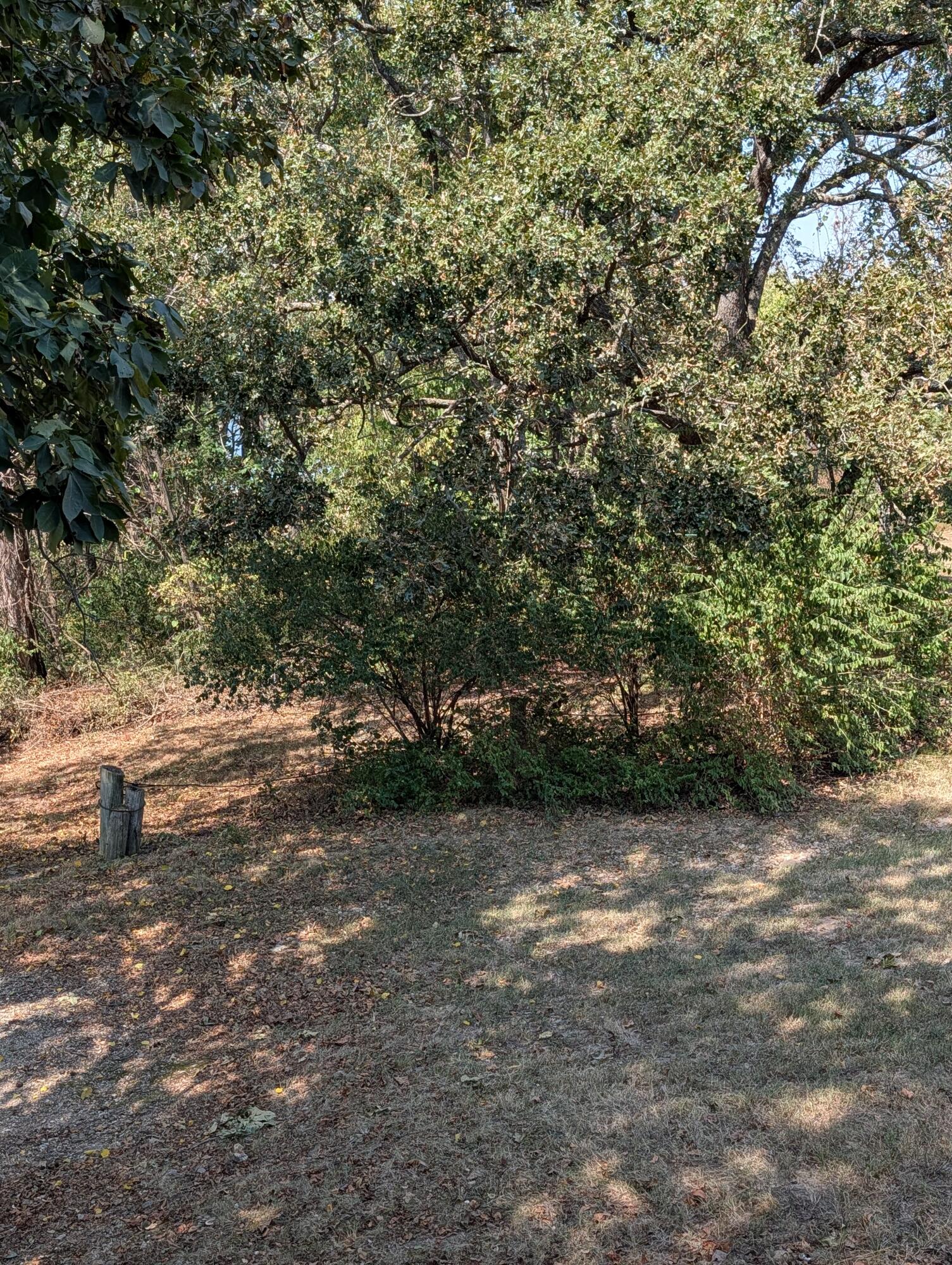 26318 Fisher Cove Lane Property Photo 23