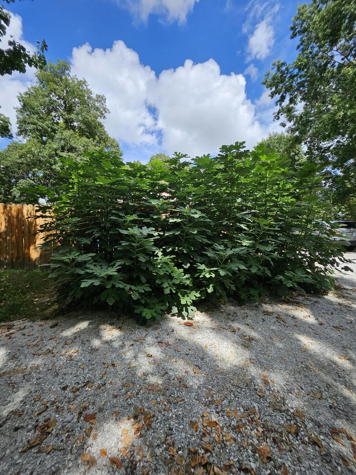 6333 South State Highway 125 Property Photo 78