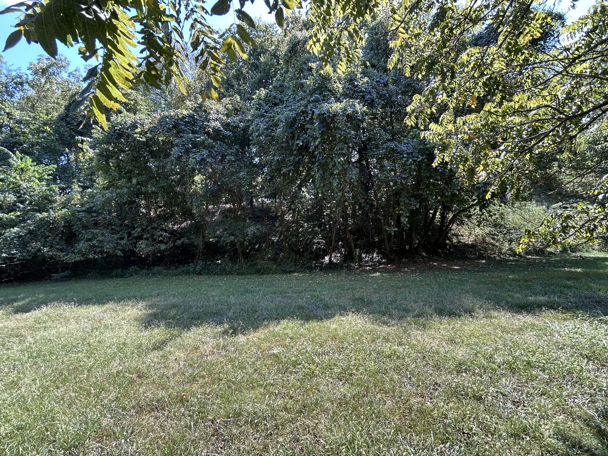 311 East Jackson Street Property Photo 41