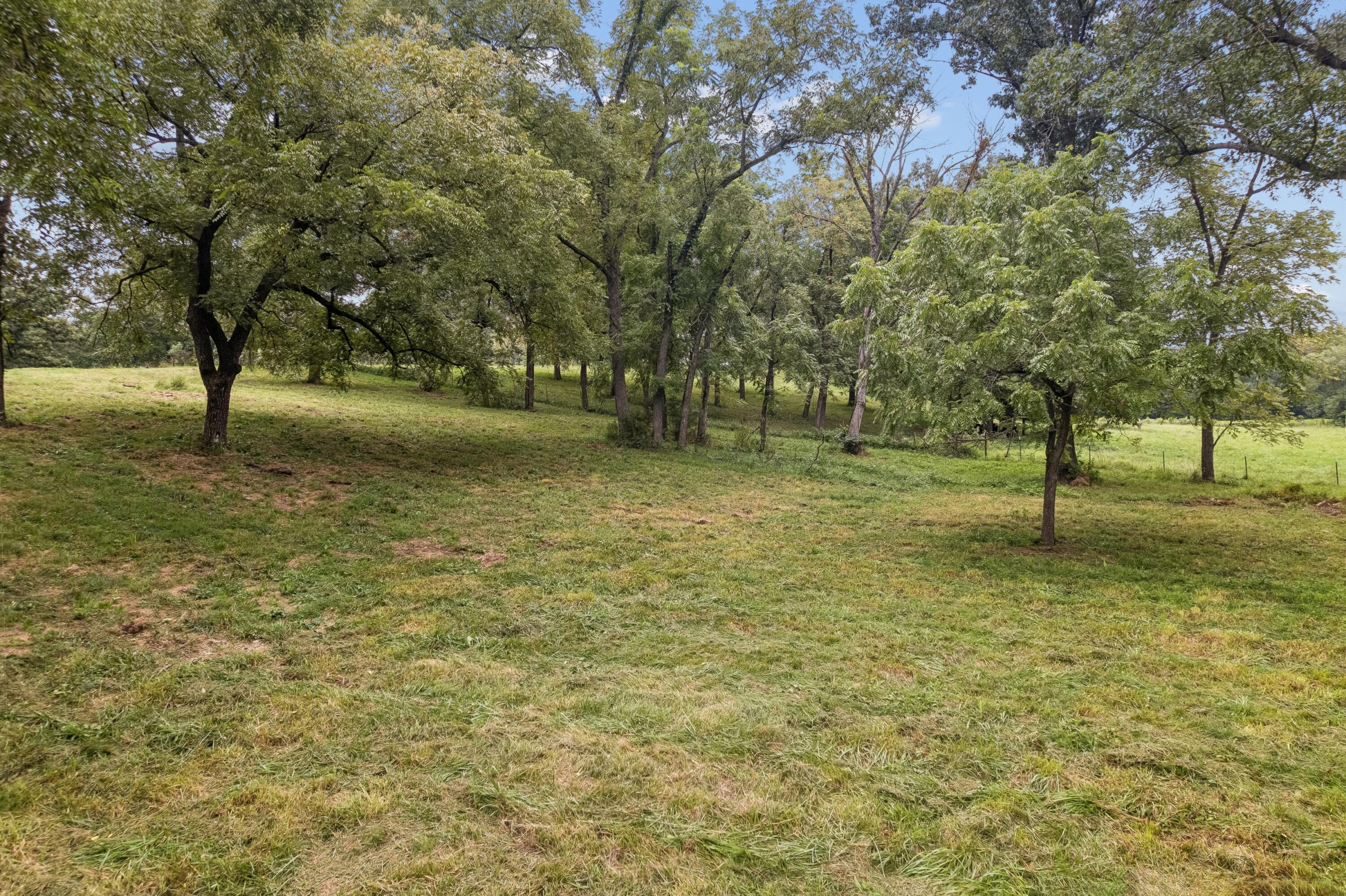 401 Southeast Highway W Property Photo 55