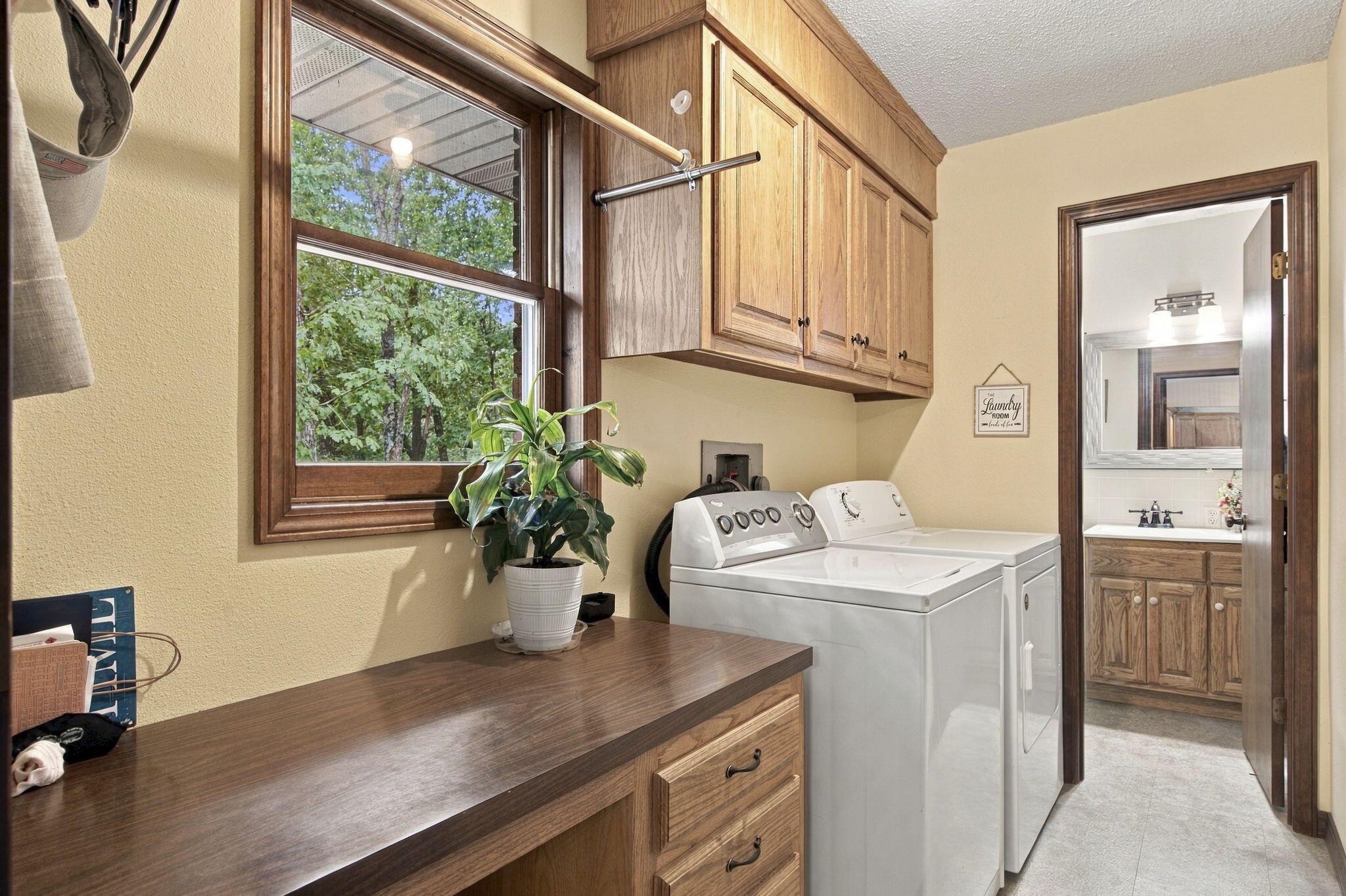 236 Silverbridge Lane Property Photo 30