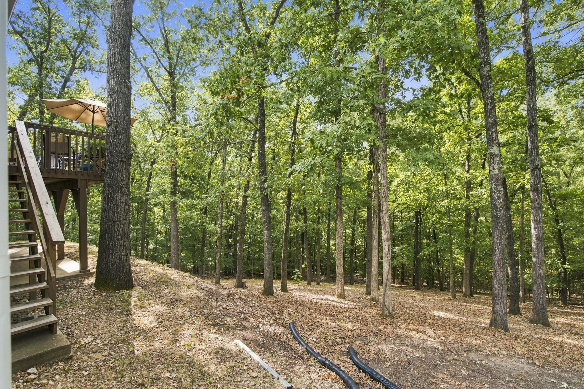 236 Silverbridge Lane Property Photo 32