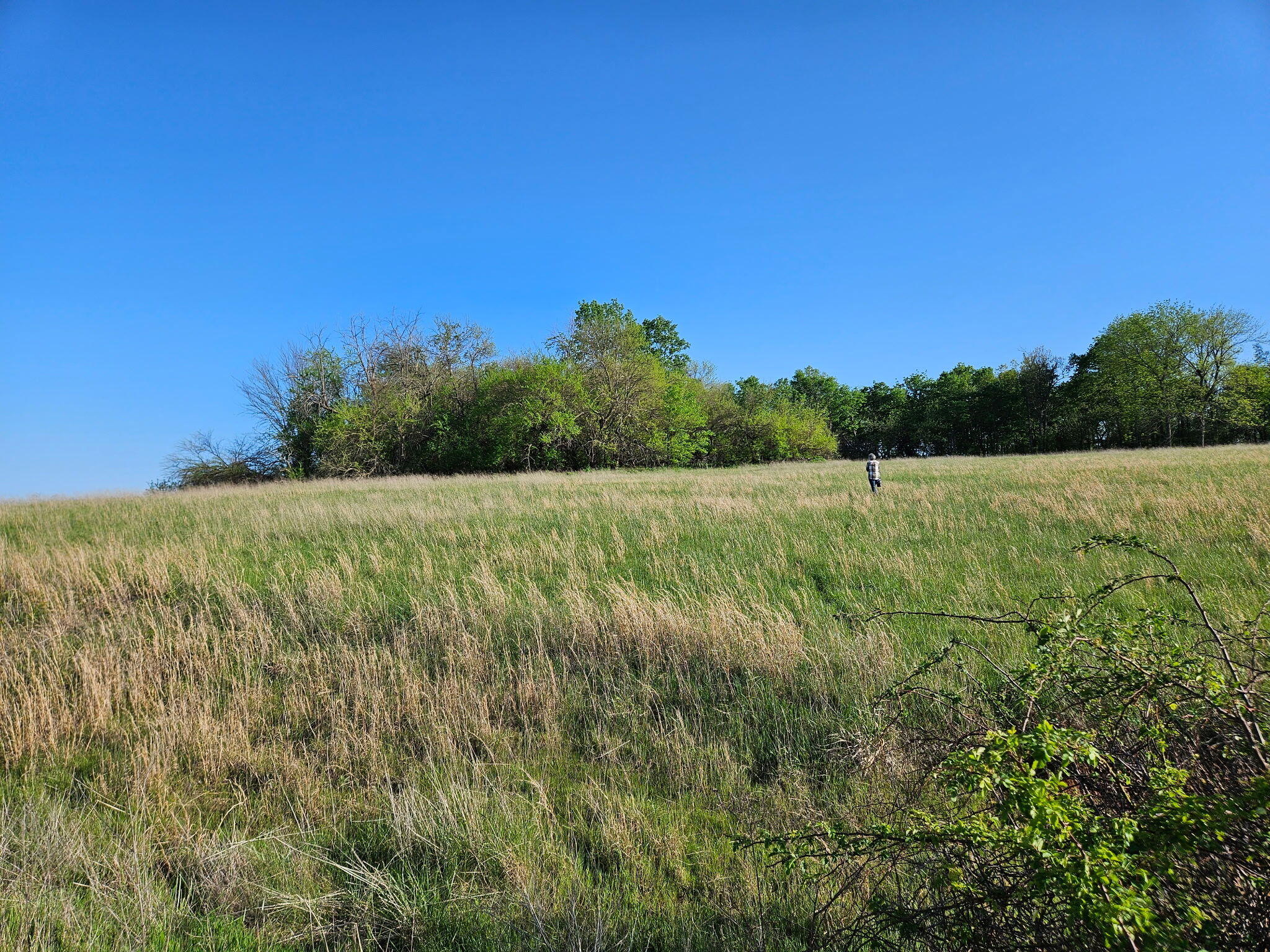 Lot 13 - 1174 Hunter Lane Property Photo 5
