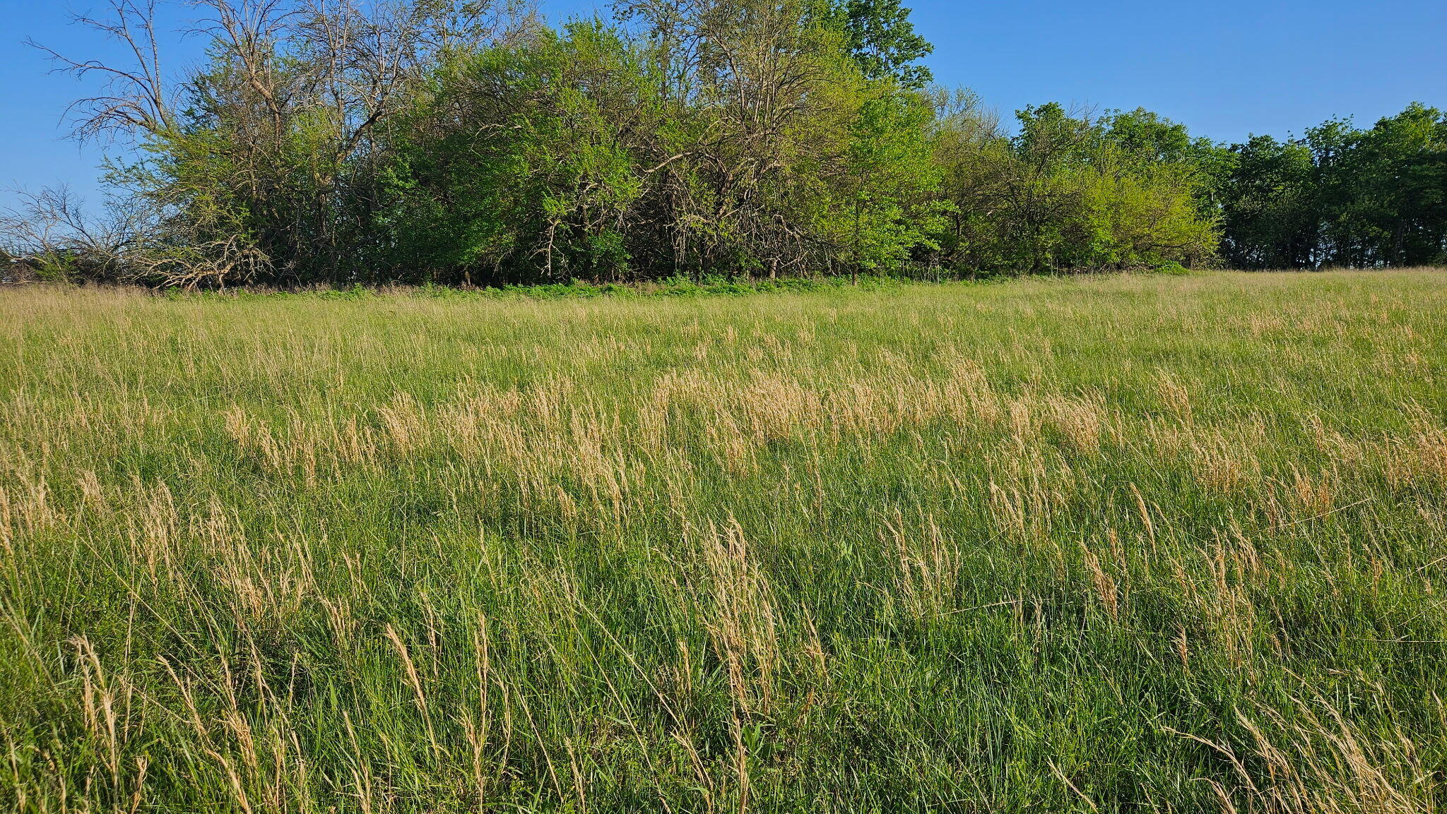 Lot 13 - 1174 Hunter Lane Property Photo 6