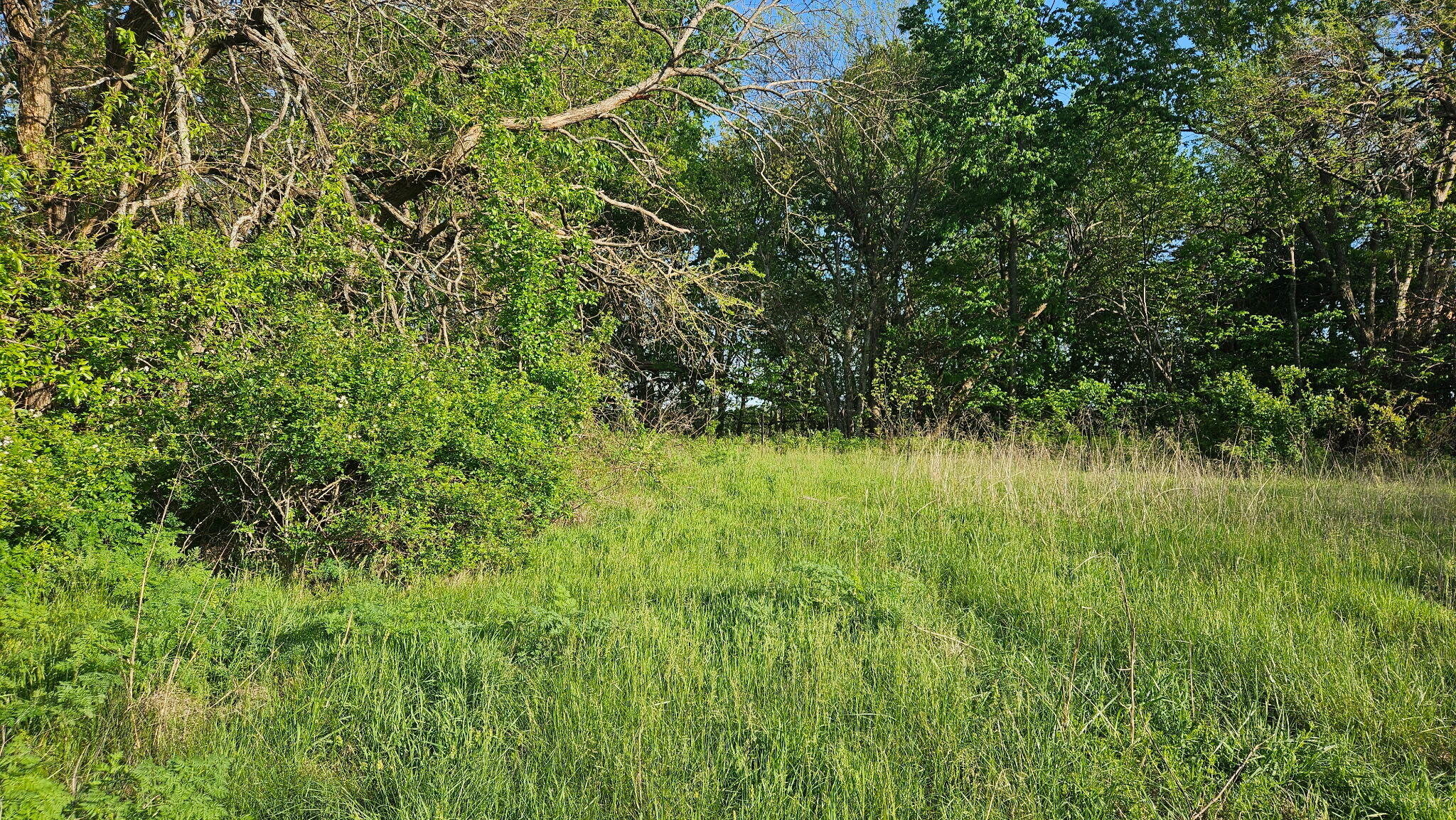 Lot 13 - 1174 Hunter Lane Property Photo 9