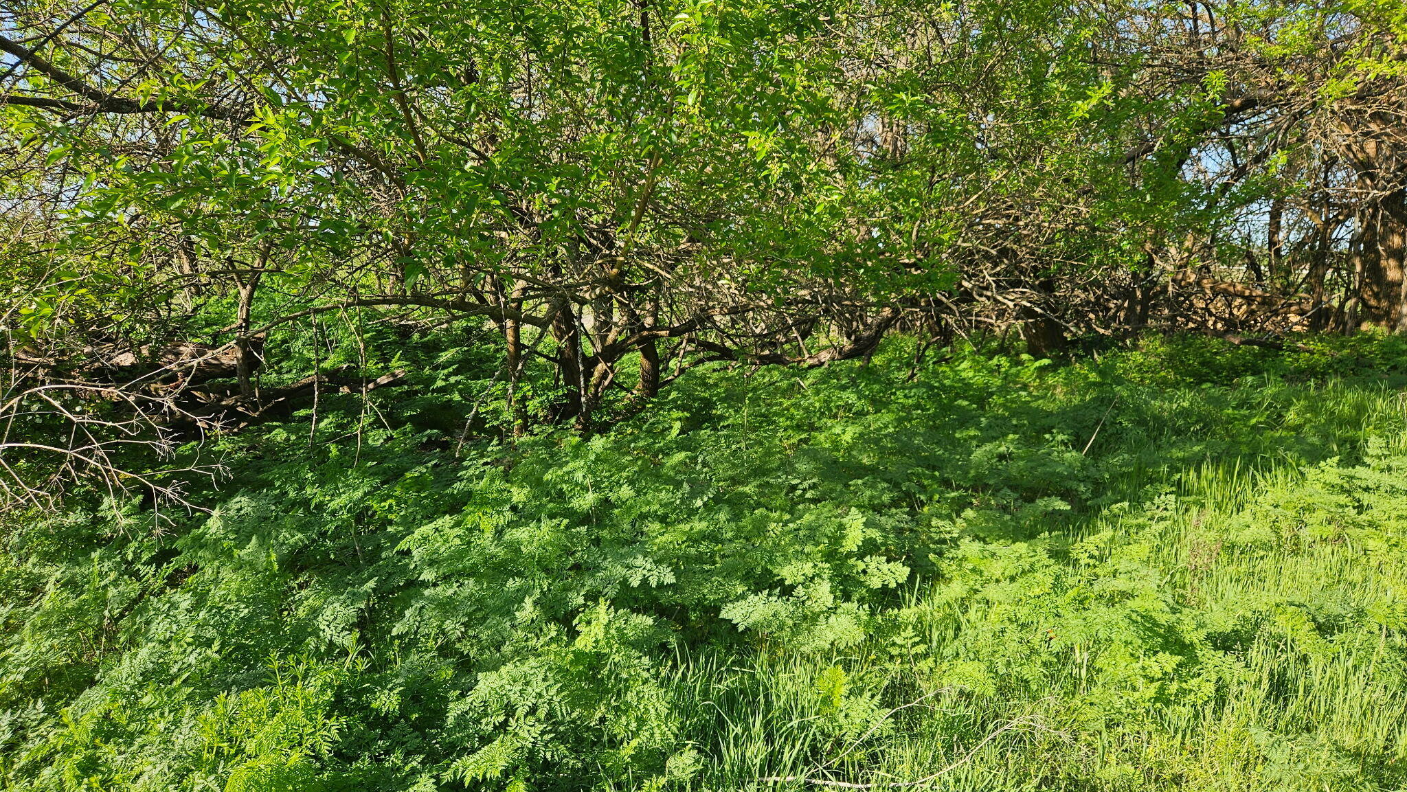 Lot 13 - 1174 Hunter Lane Property Photo 10
