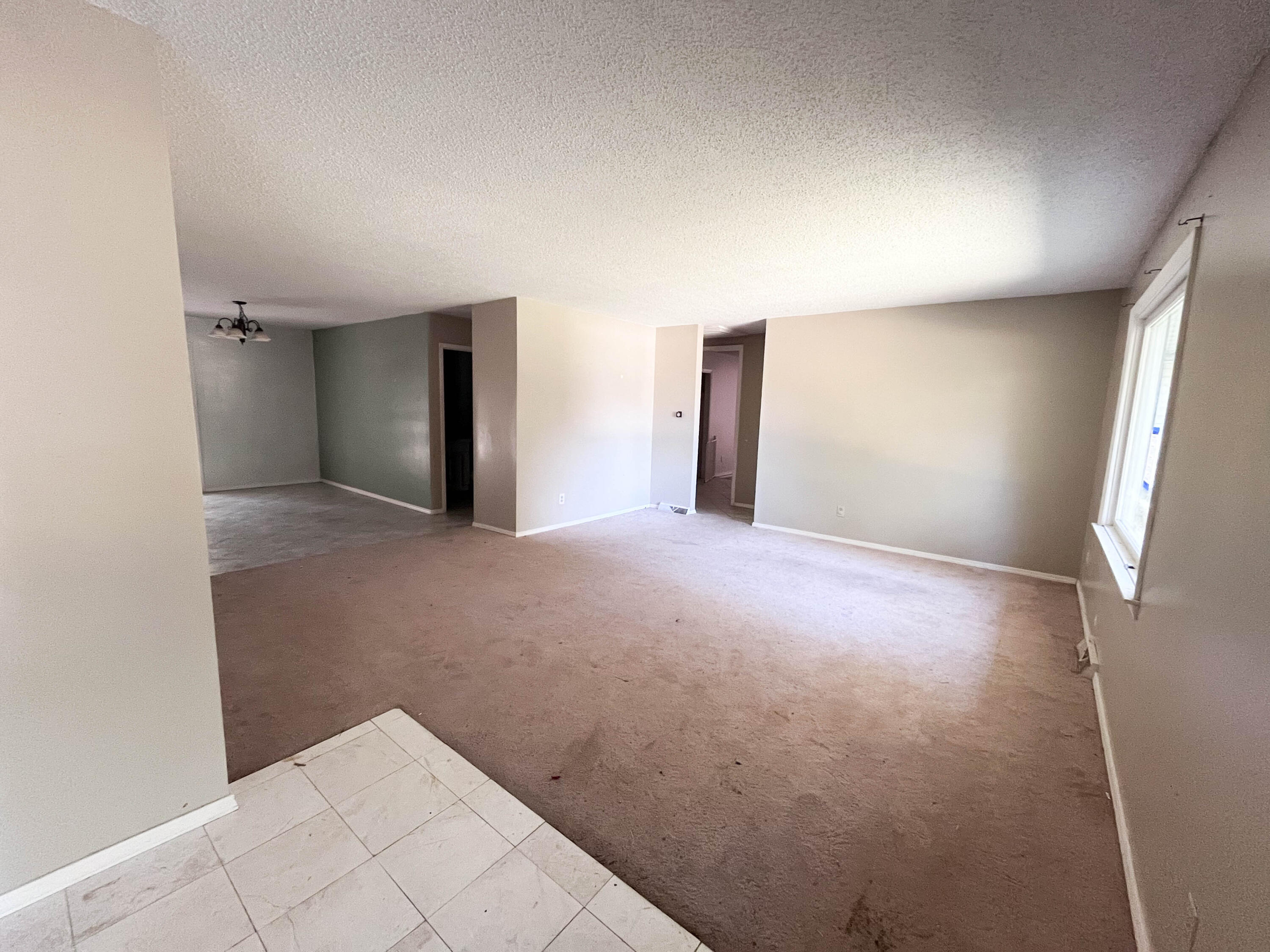 410 County Road 393 Property Photo 4