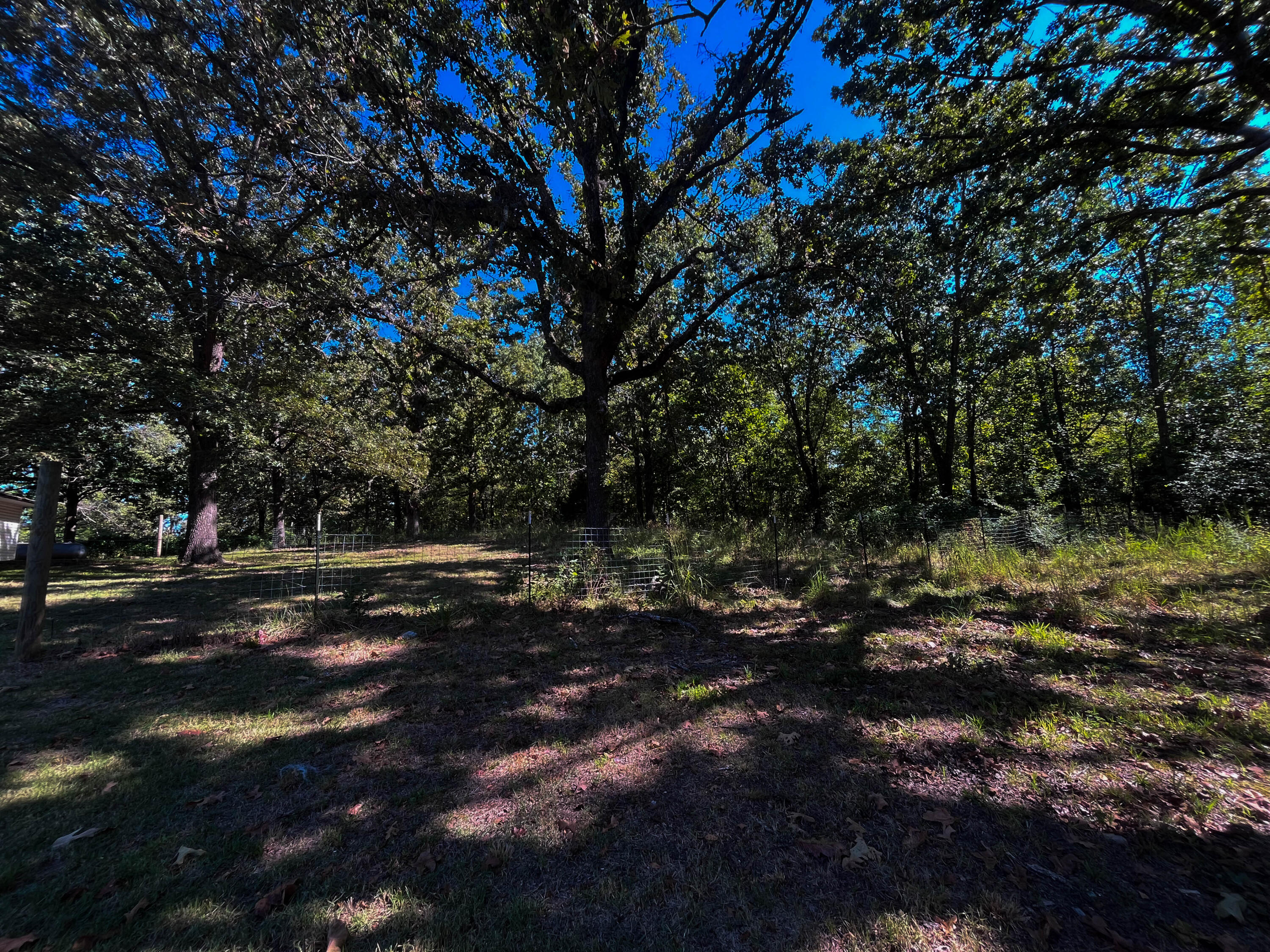 410 County Road 393 Property Photo 53