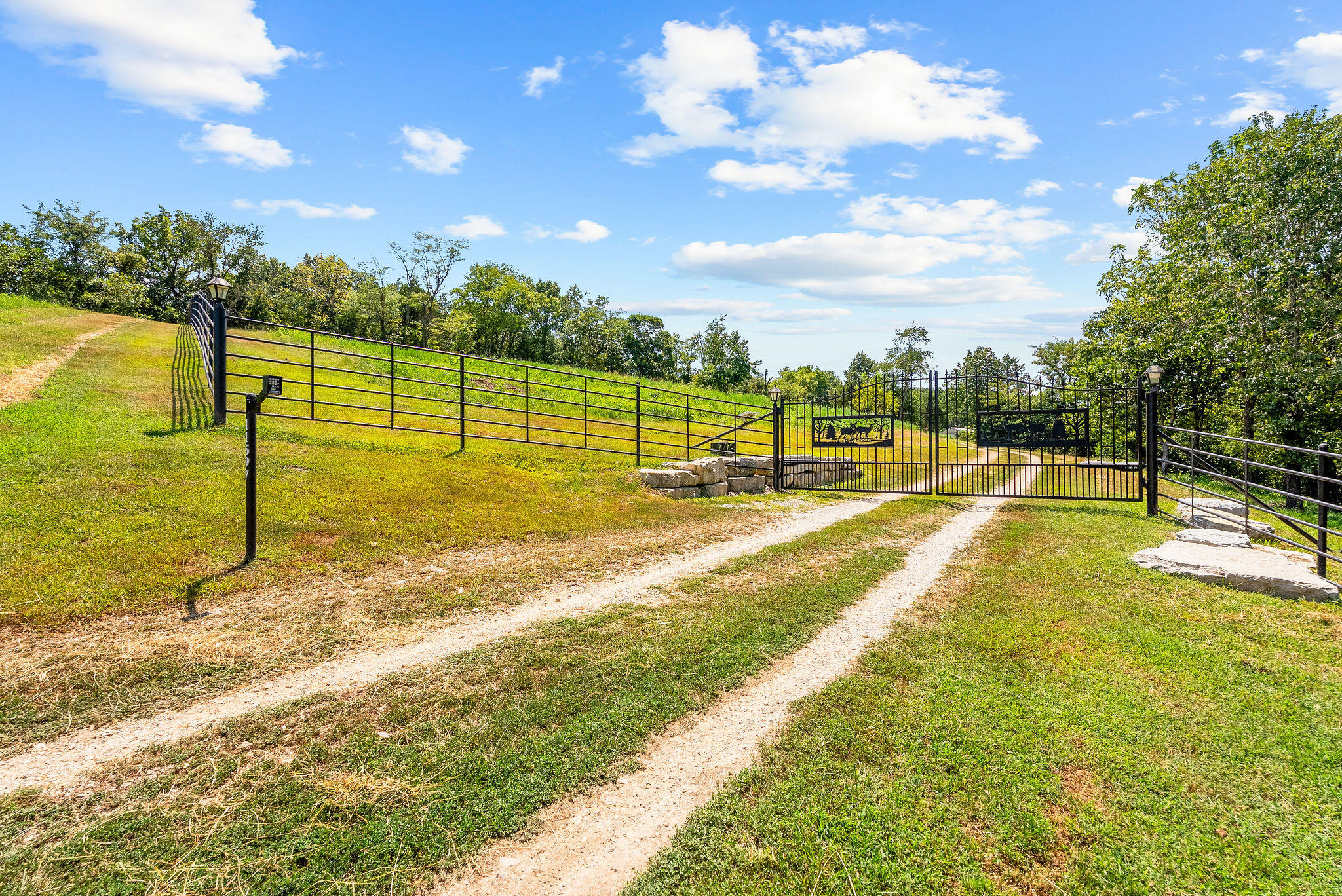 11597 Huckleberry Drive Property Photo 4