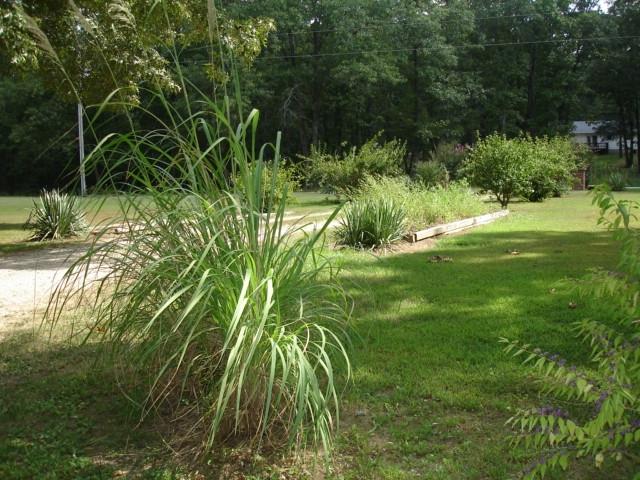 6493 County Road 8640 Property Photo 16