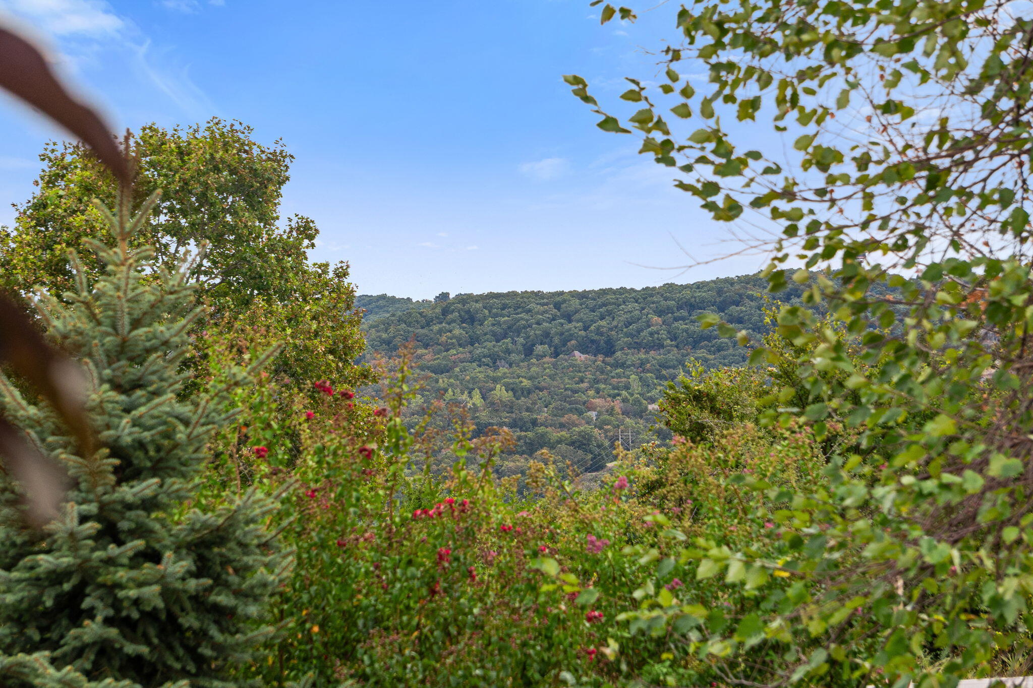56 Mountain View Court Property Photo 30