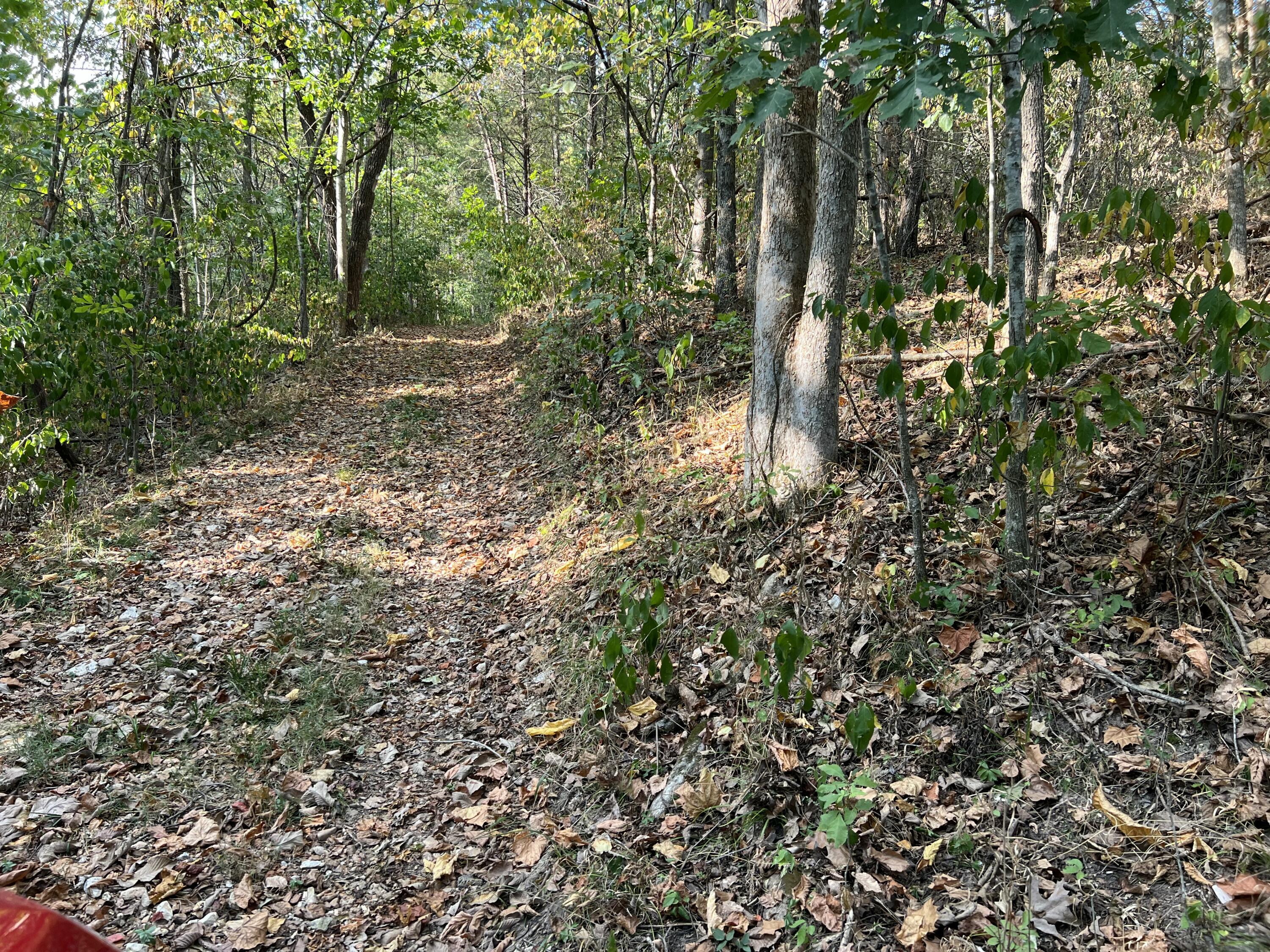 22652 River View Drive Property Photo 14