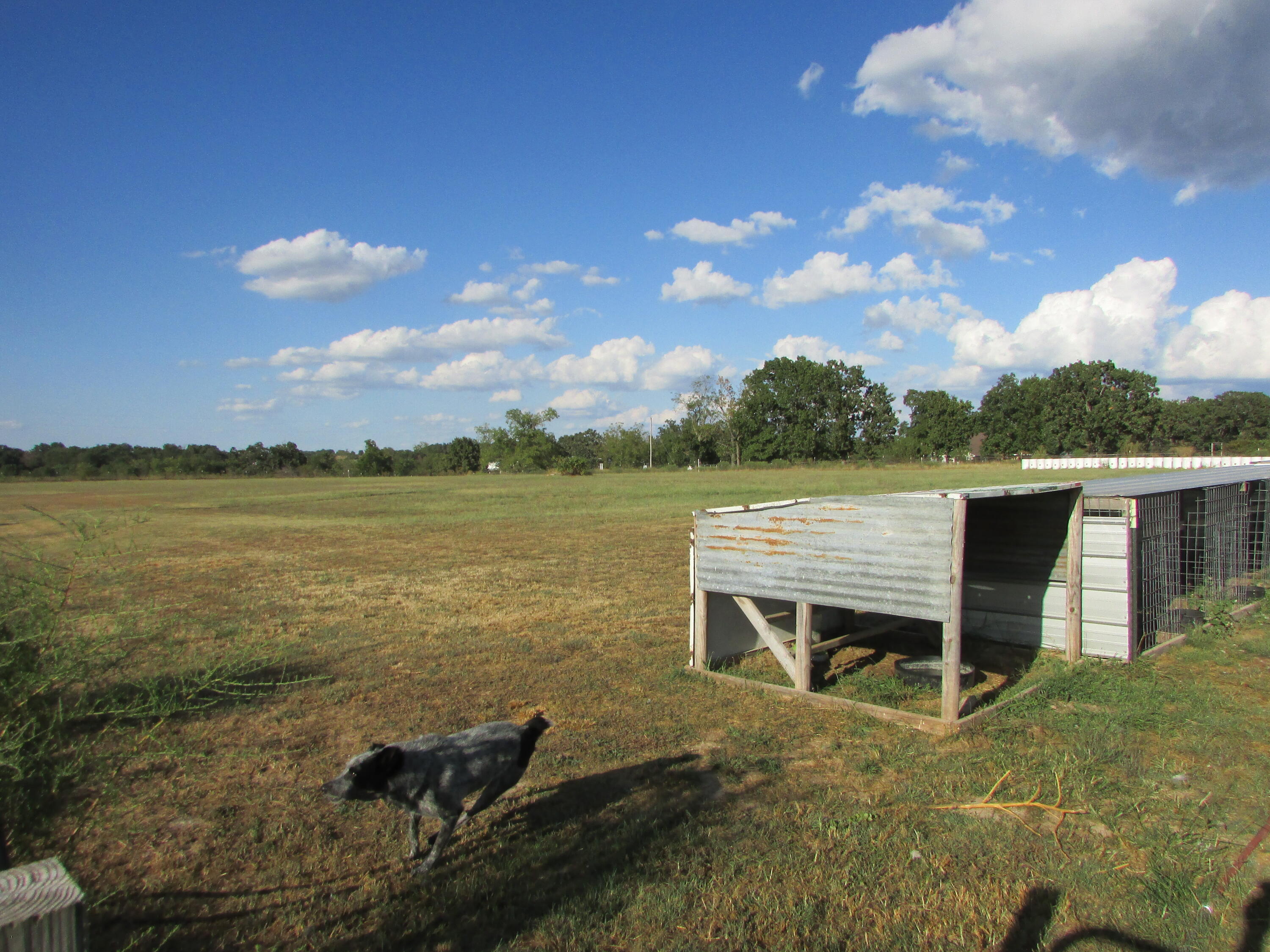 3864 State Highway Ww Property Photo 24
