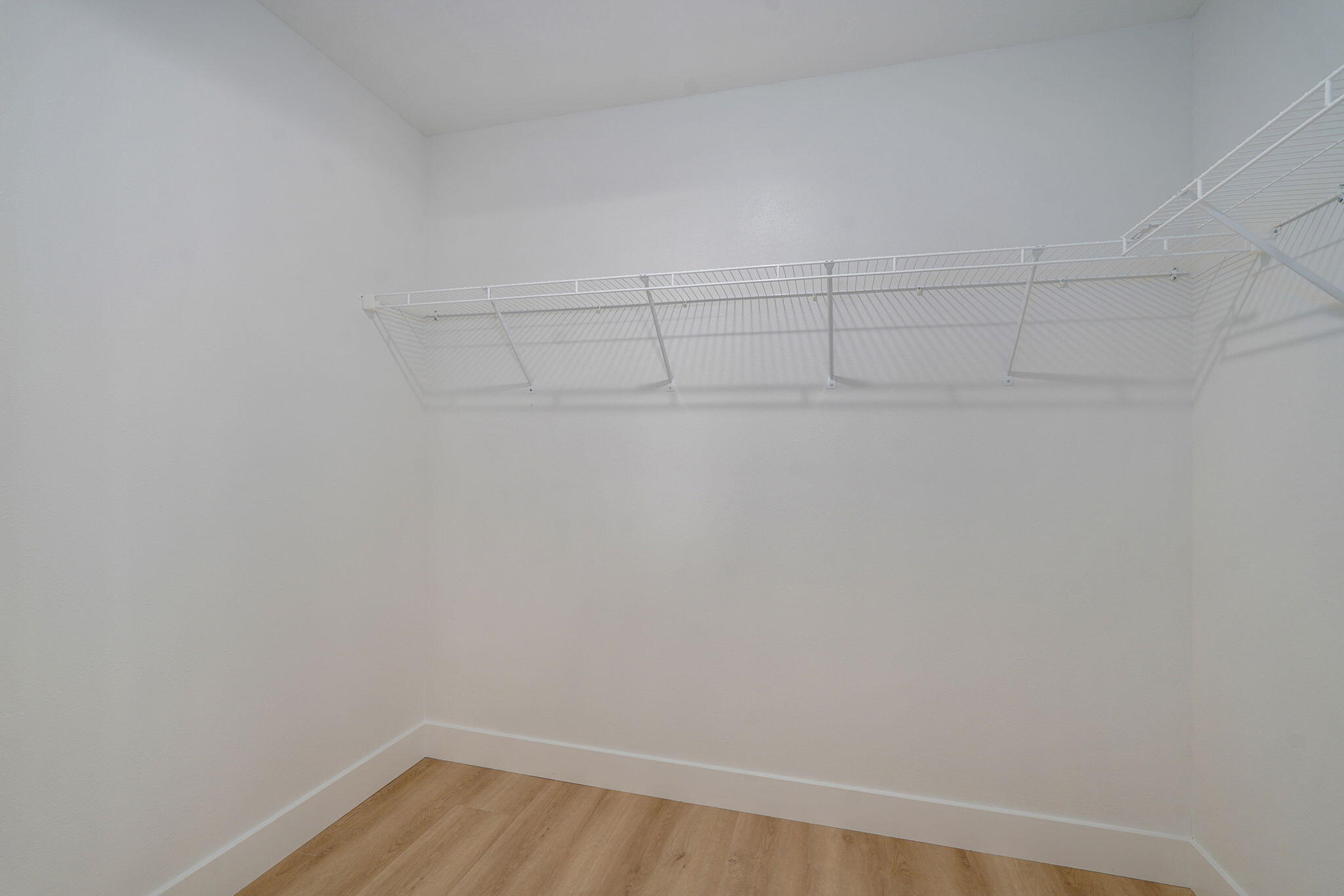 3307 West Lombard Street Property Photo 20