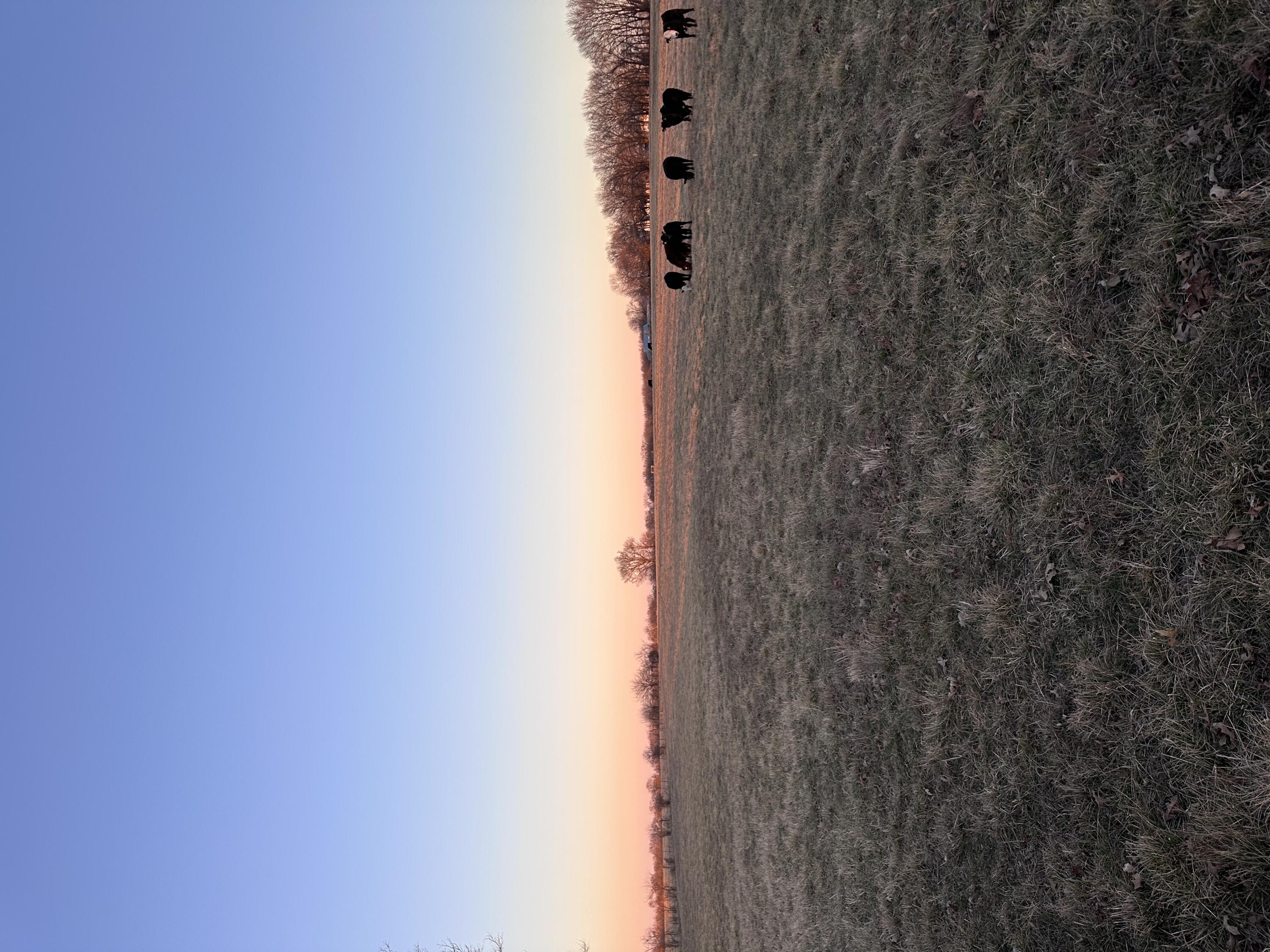 000 Civil War Road Property Photo 2