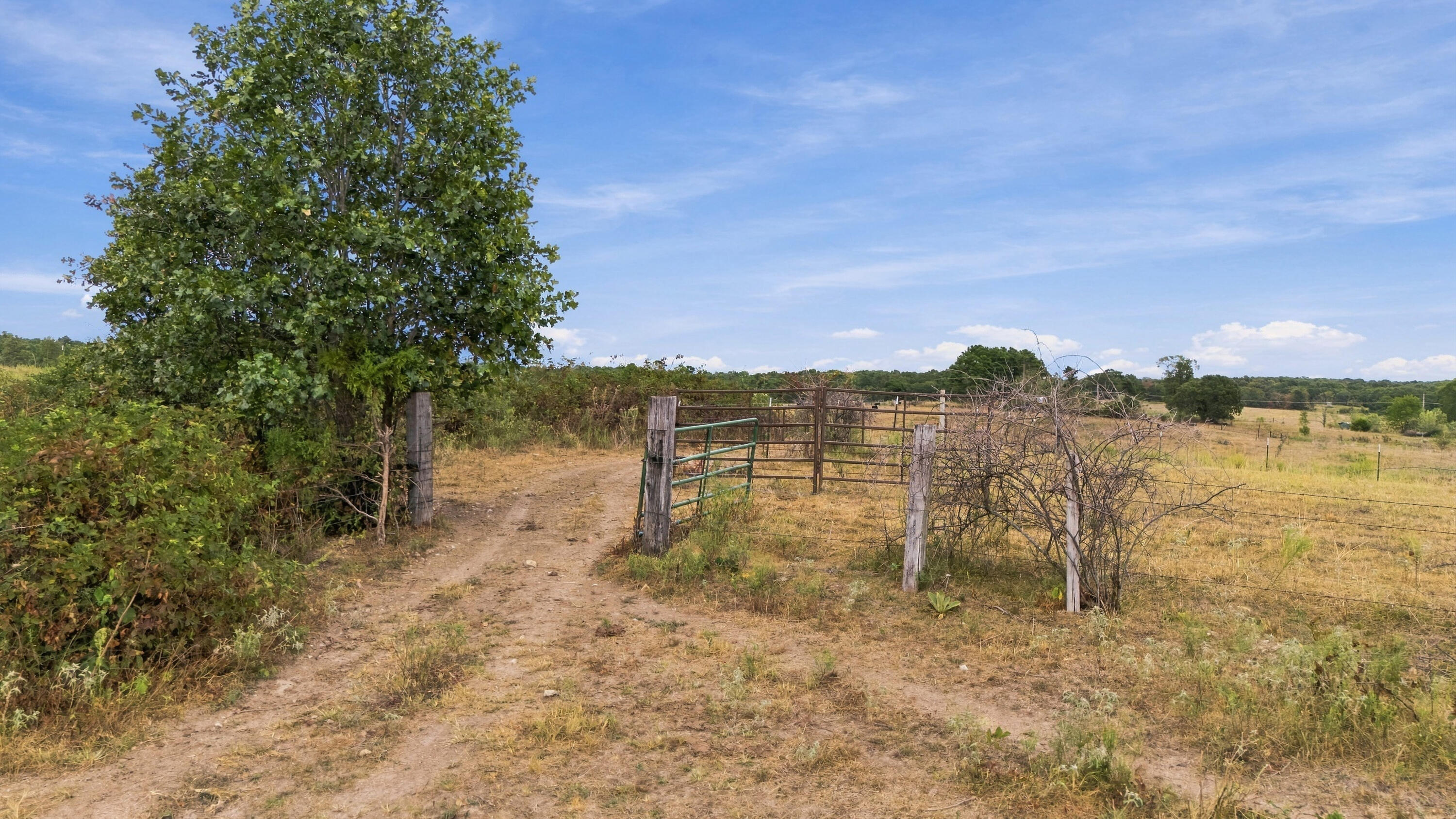 3953 County Road 4990 Property Photo 8
