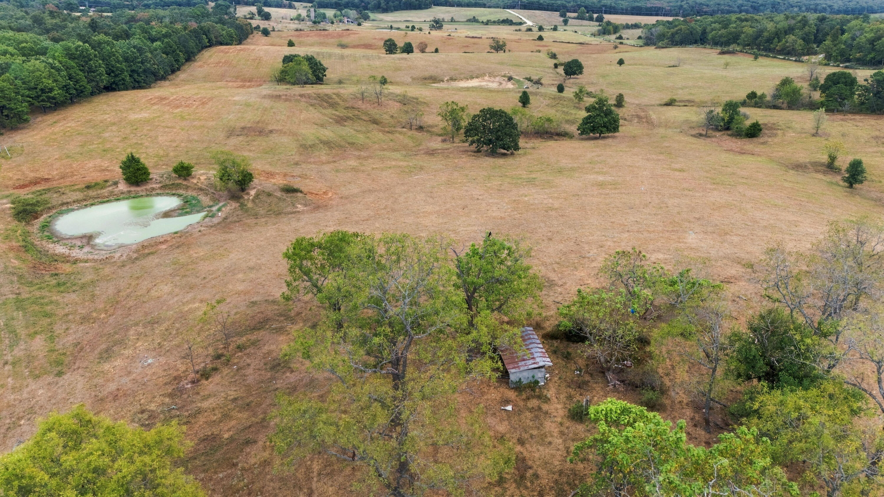 3953 County Road 4990 Property Photo 16